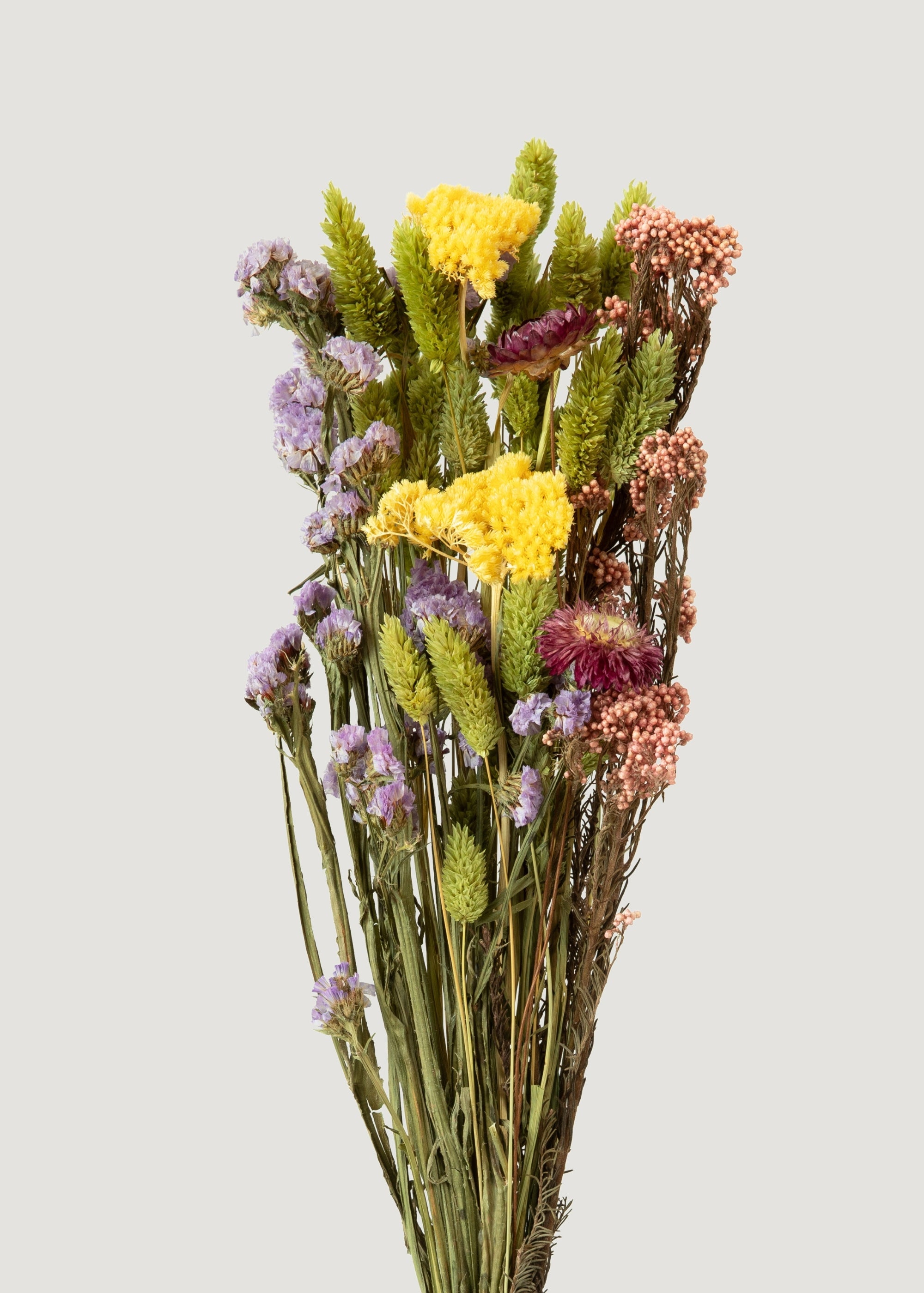 Pink and Purple Dried Floral Bundle of Preserved Flowers - 23.5"