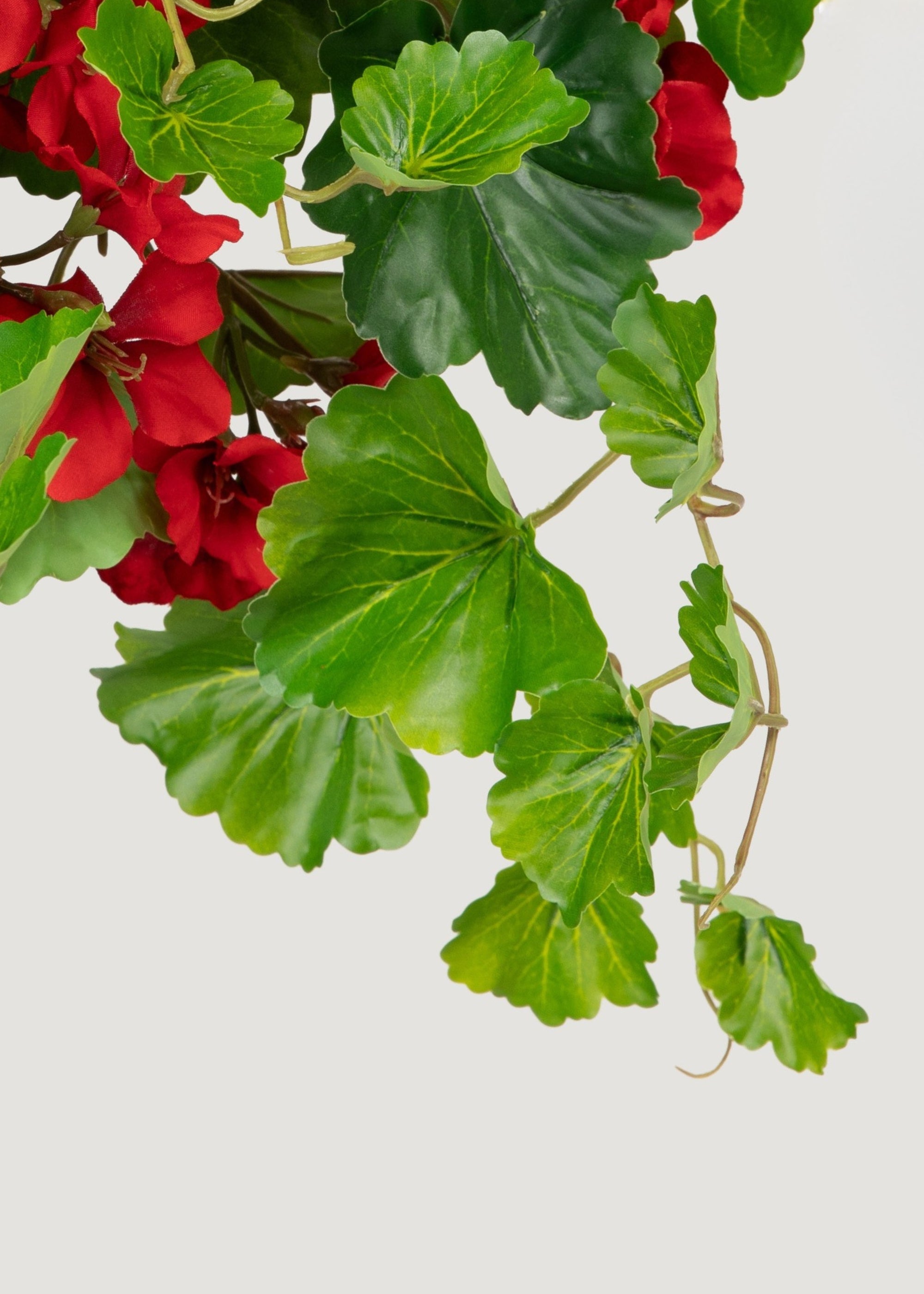 UV Treated Indoor/Outdoor Fake Geranium Hanging Bush - 24"