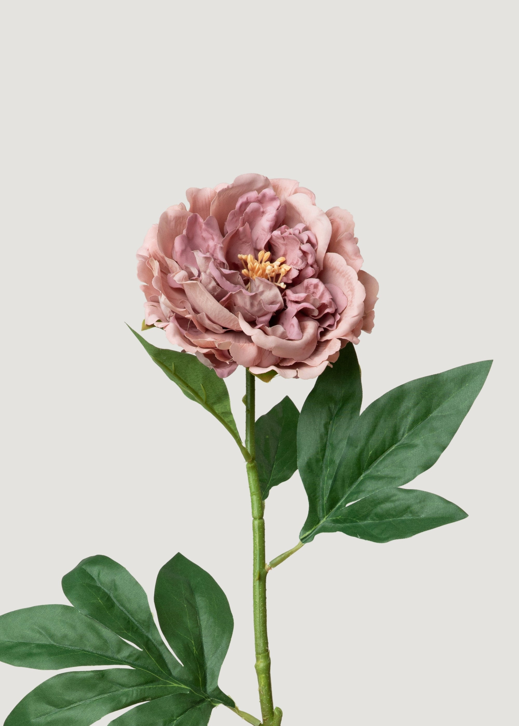 Fake Peony Real Touch Flower in Mauve Pink - 24.5"
