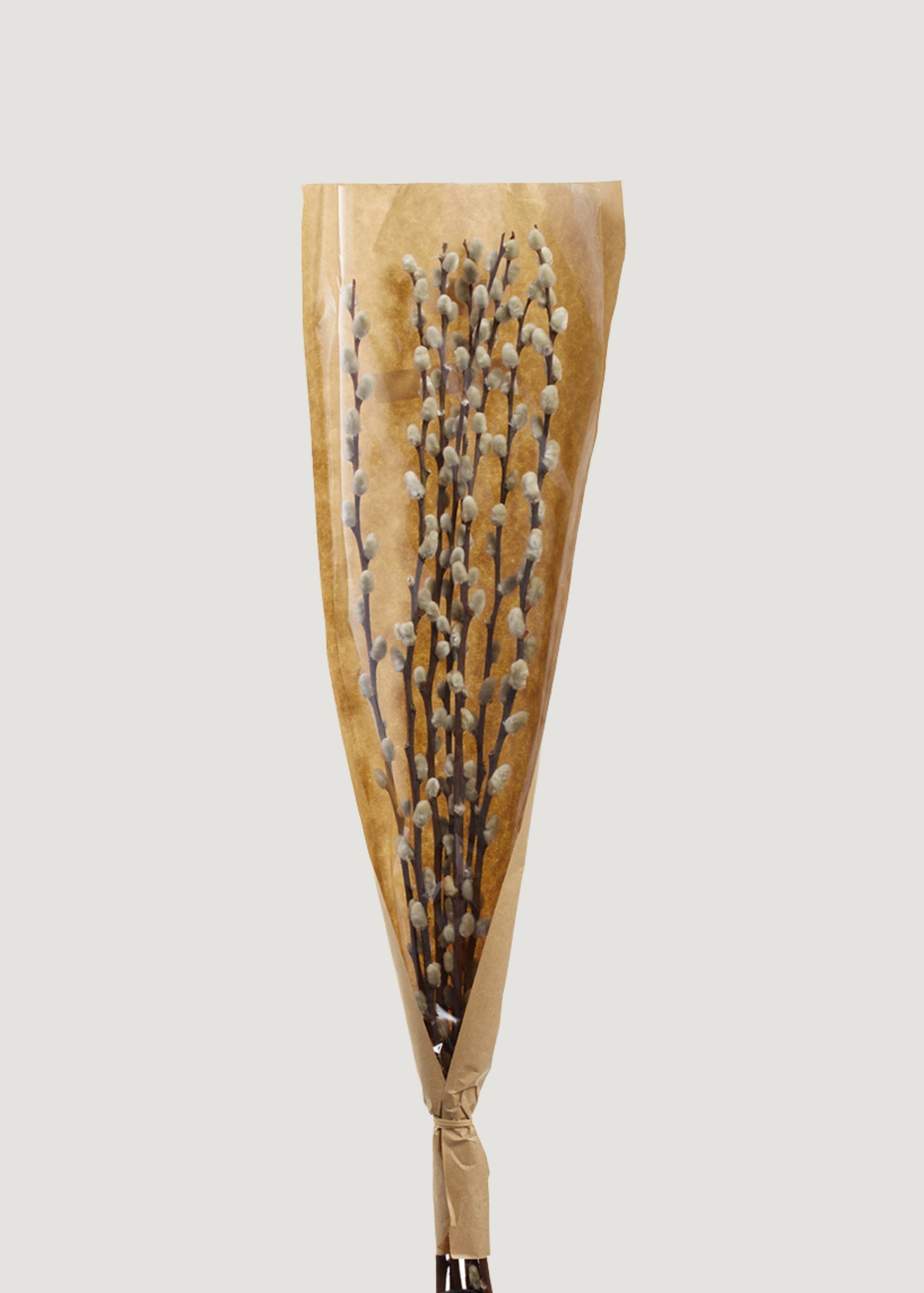 Natural Dried Pussy Willow Branch Bundle - 29.5"