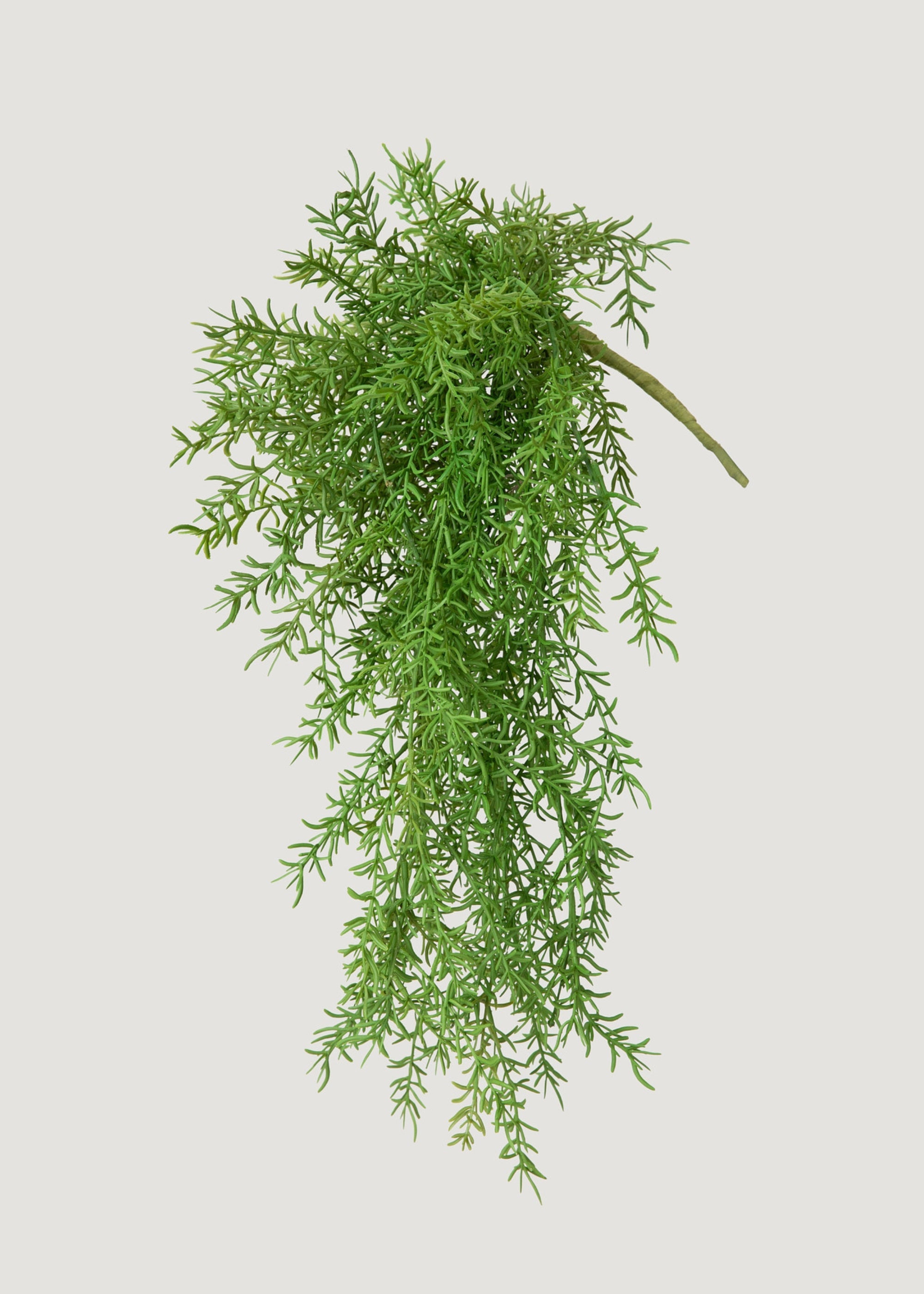 Artificial Hanging Asparagus Fern Plant - 22"