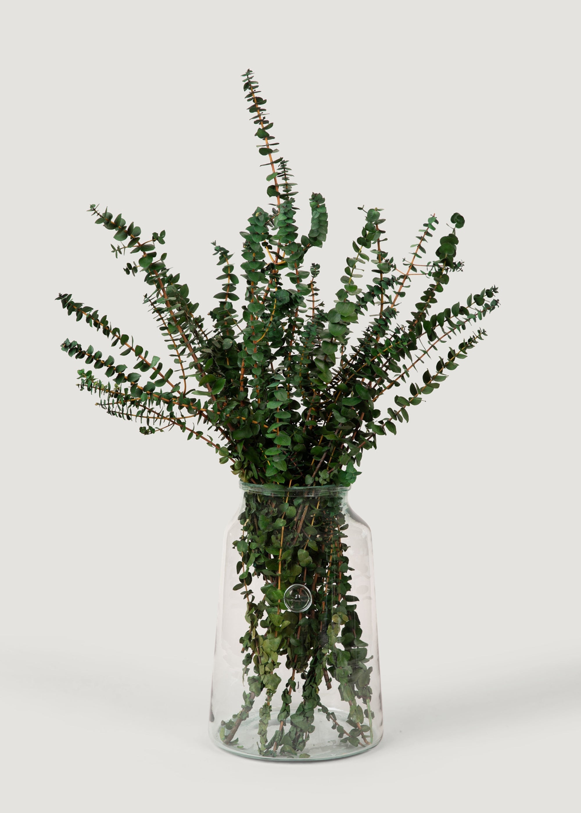 Preserved Eucalyptus Bundle - 1 lb