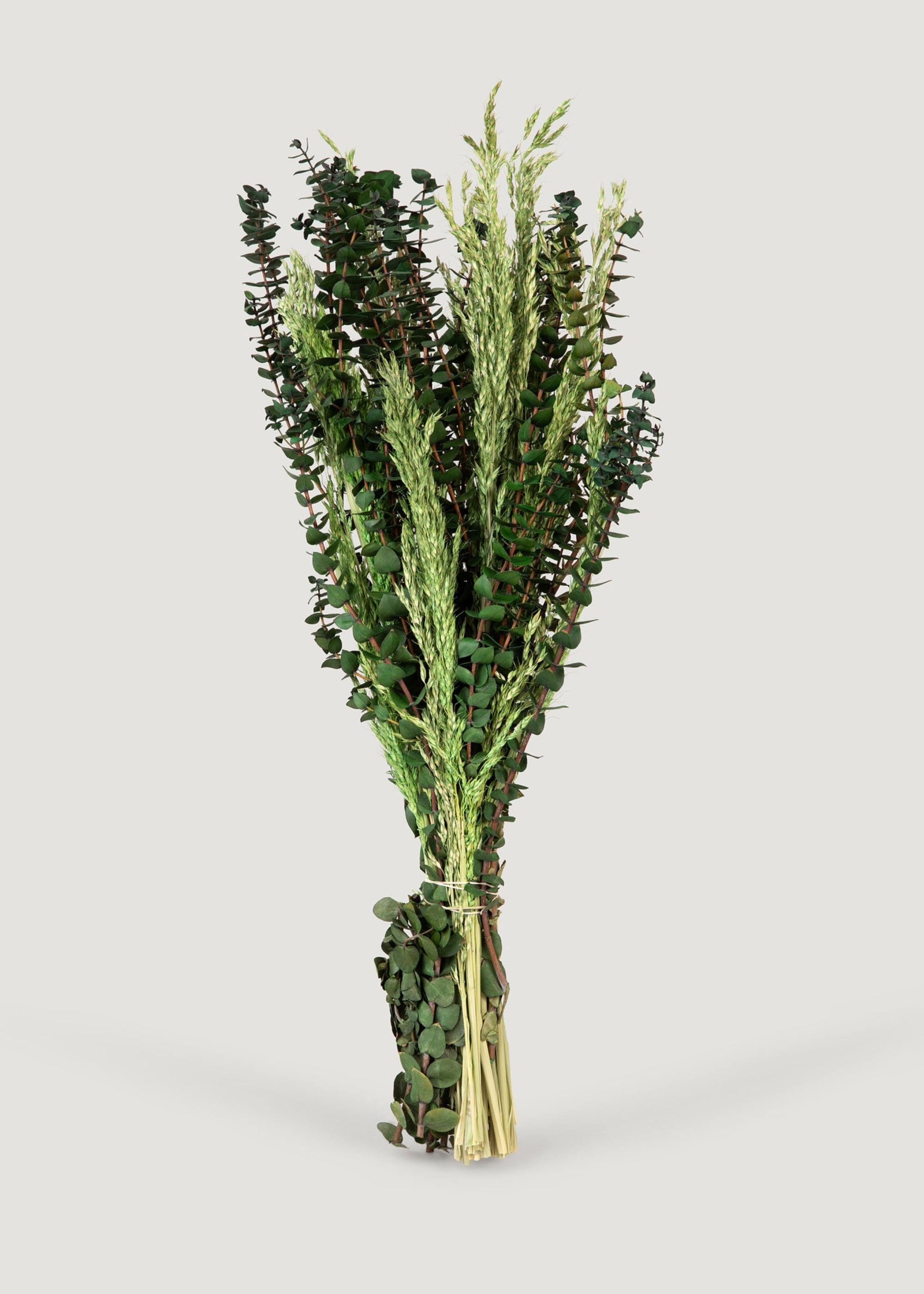 Mixed Bundle of Preserved Eucalyptus and Grass - 24"
