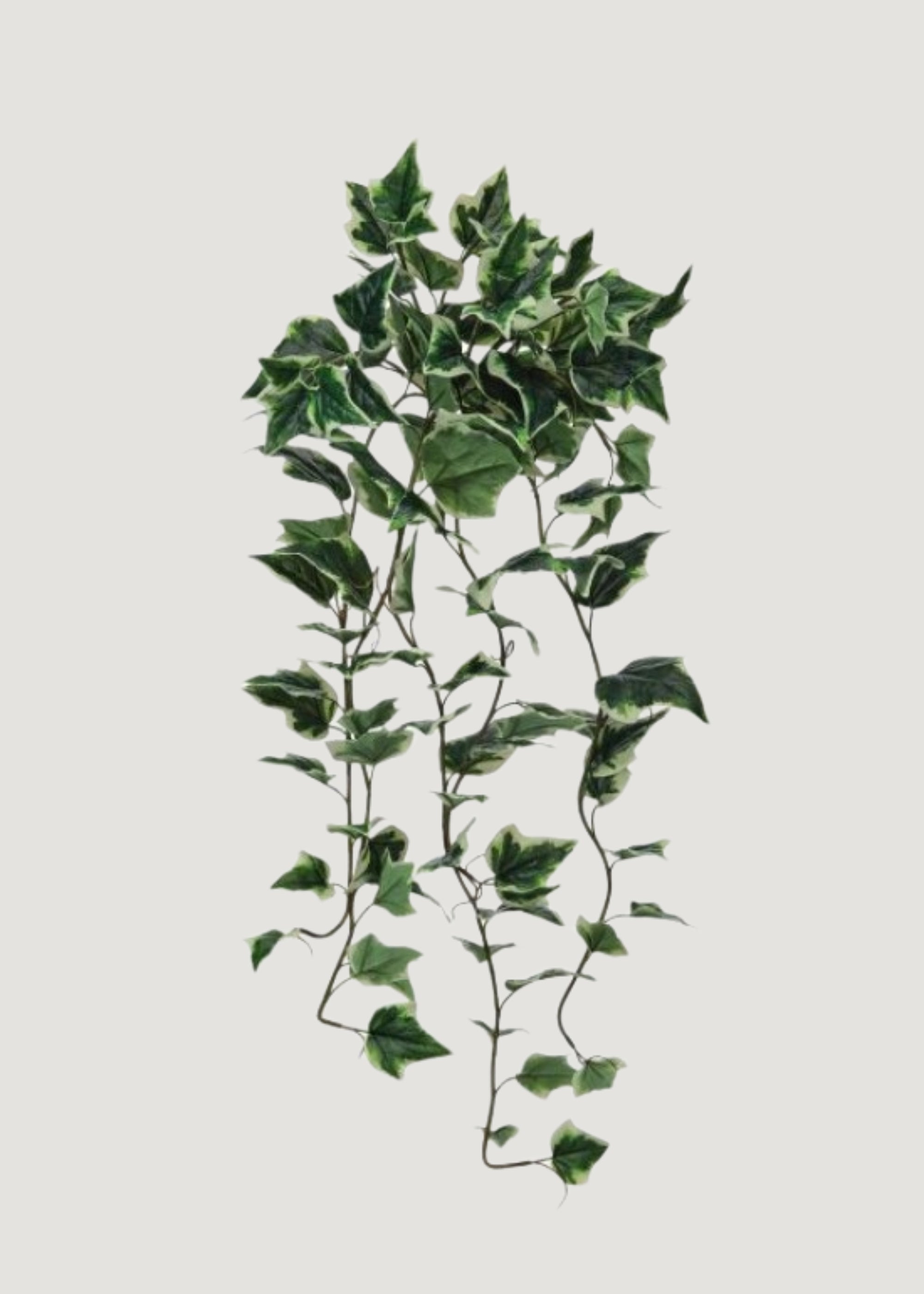 Fake Natural Touch Variegated Ivy UV Treated Outdoor Hanging Plant - 42"