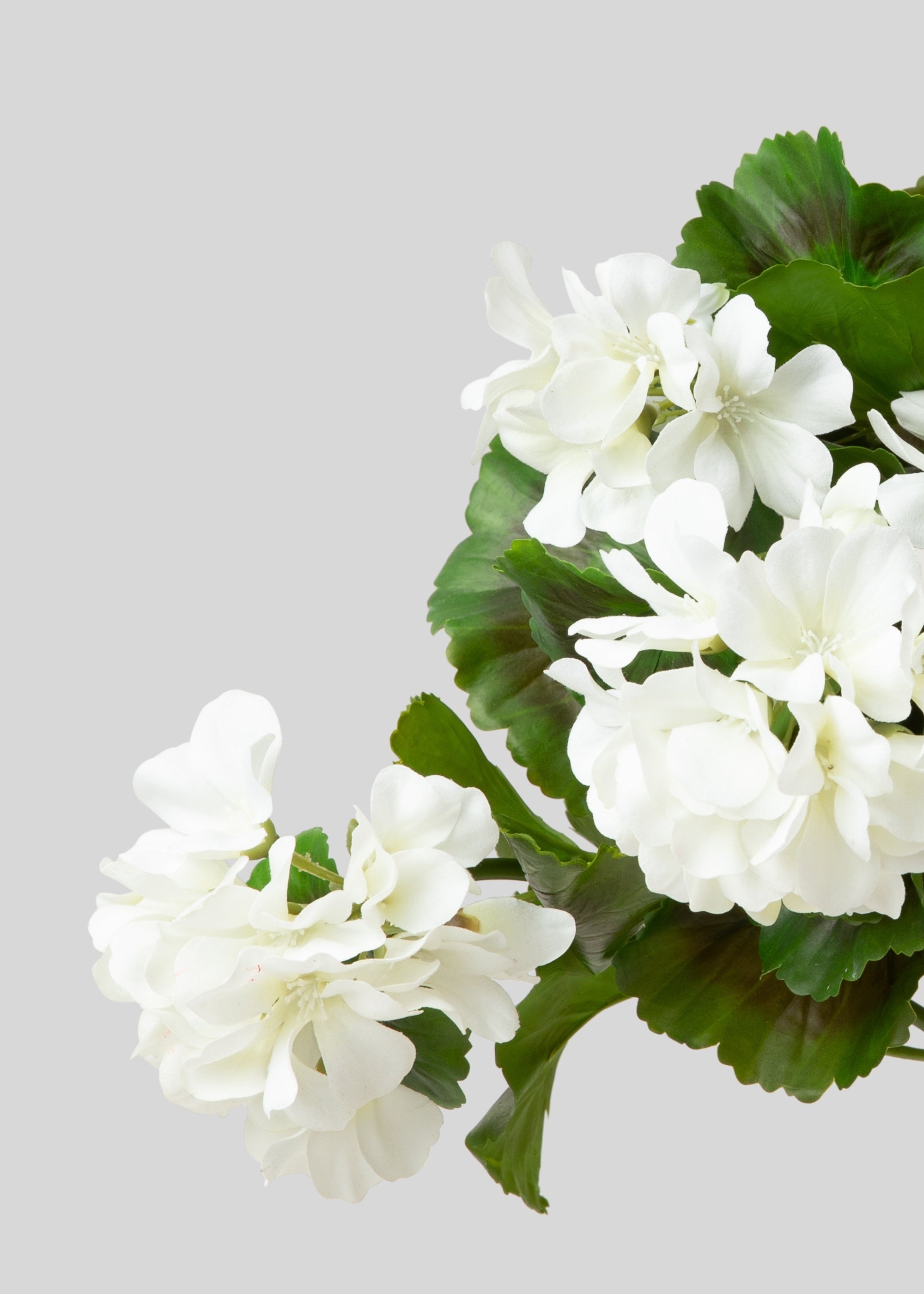 White UV Resistant Indoor/Outdoor Natural Touch Geranium Bush - 17"