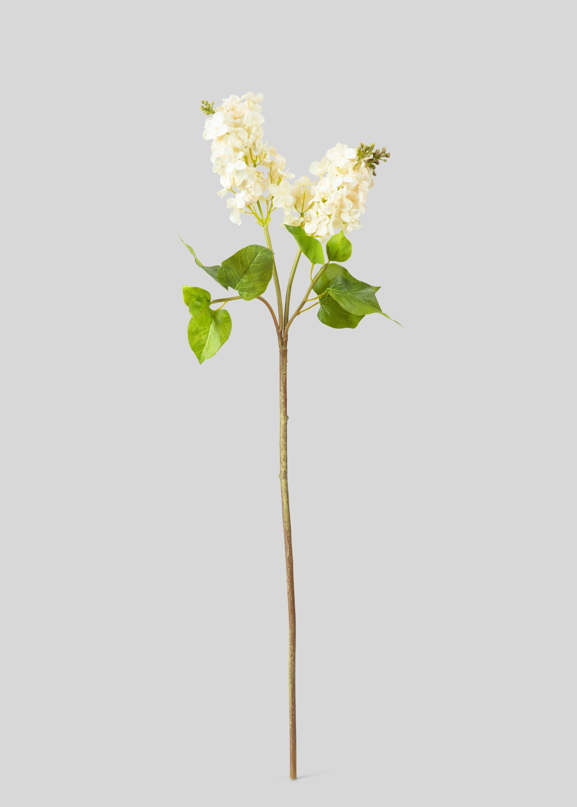 Cream Fake Real Touch Lilac Blooming Branch - 27.5"