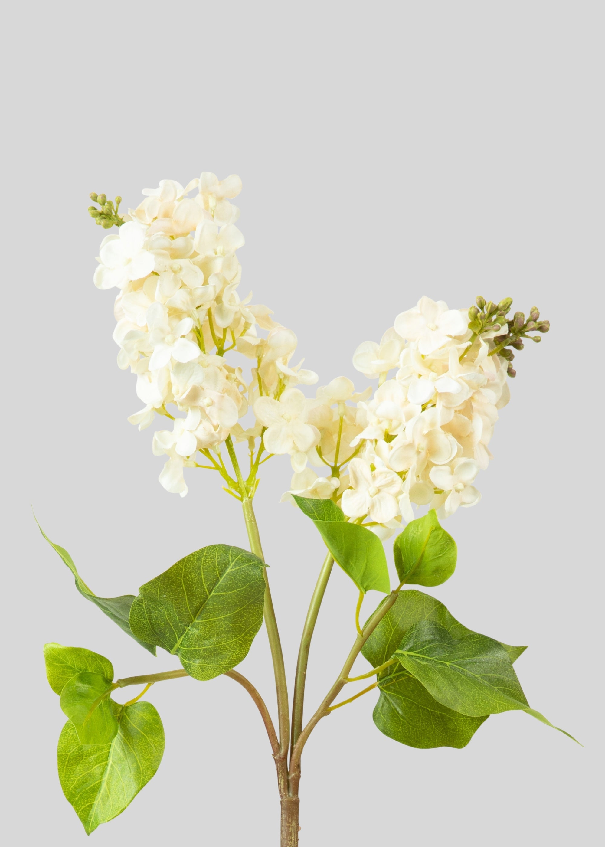 Cream Fake Real Touch Lilac Blooming Branch - 27.5"