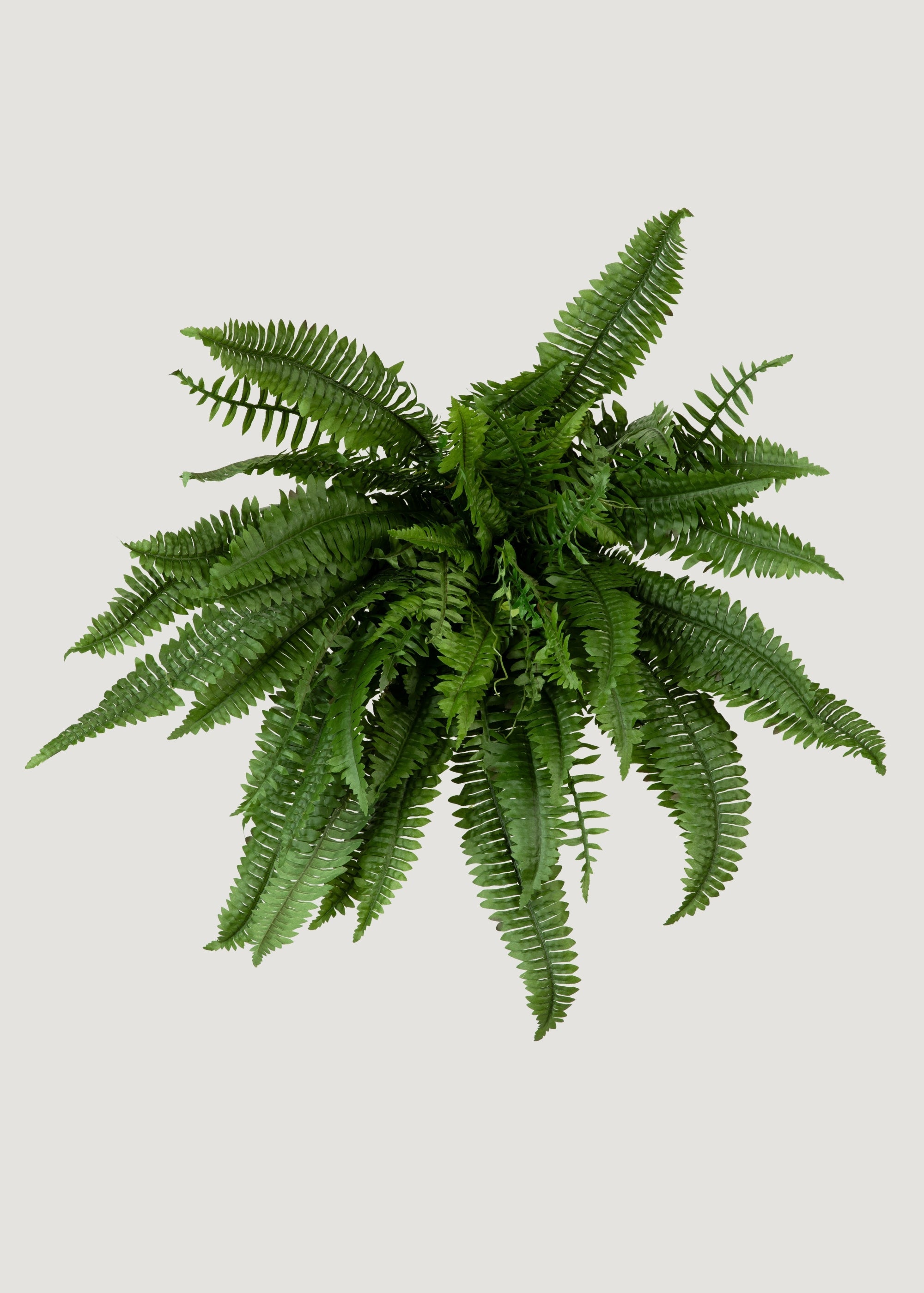 Large UV Resistant Outdoor Fake Boston Fern Plant - 38"