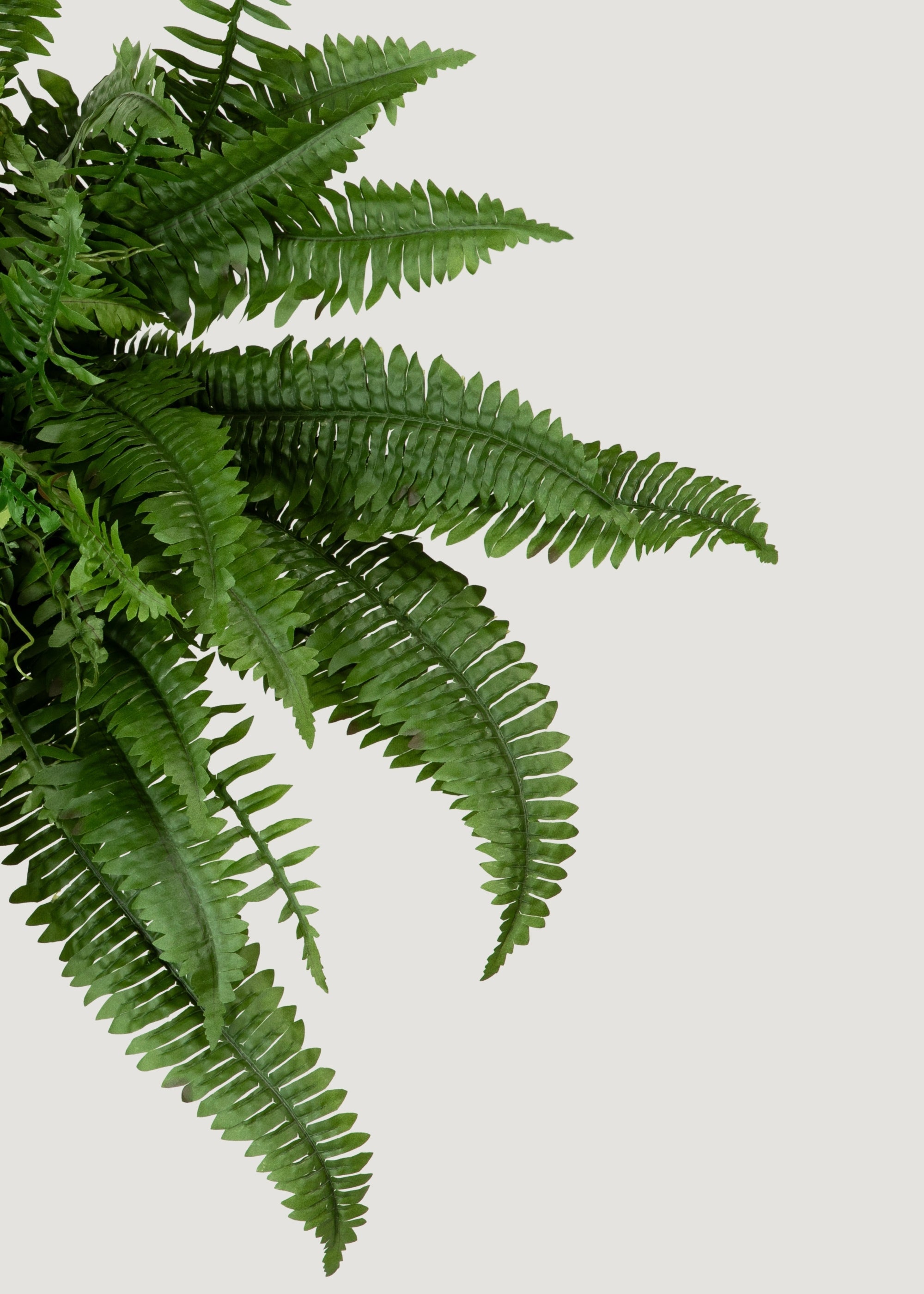 Large UV Resistant Outdoor Fake Boston Fern Plant - 38"