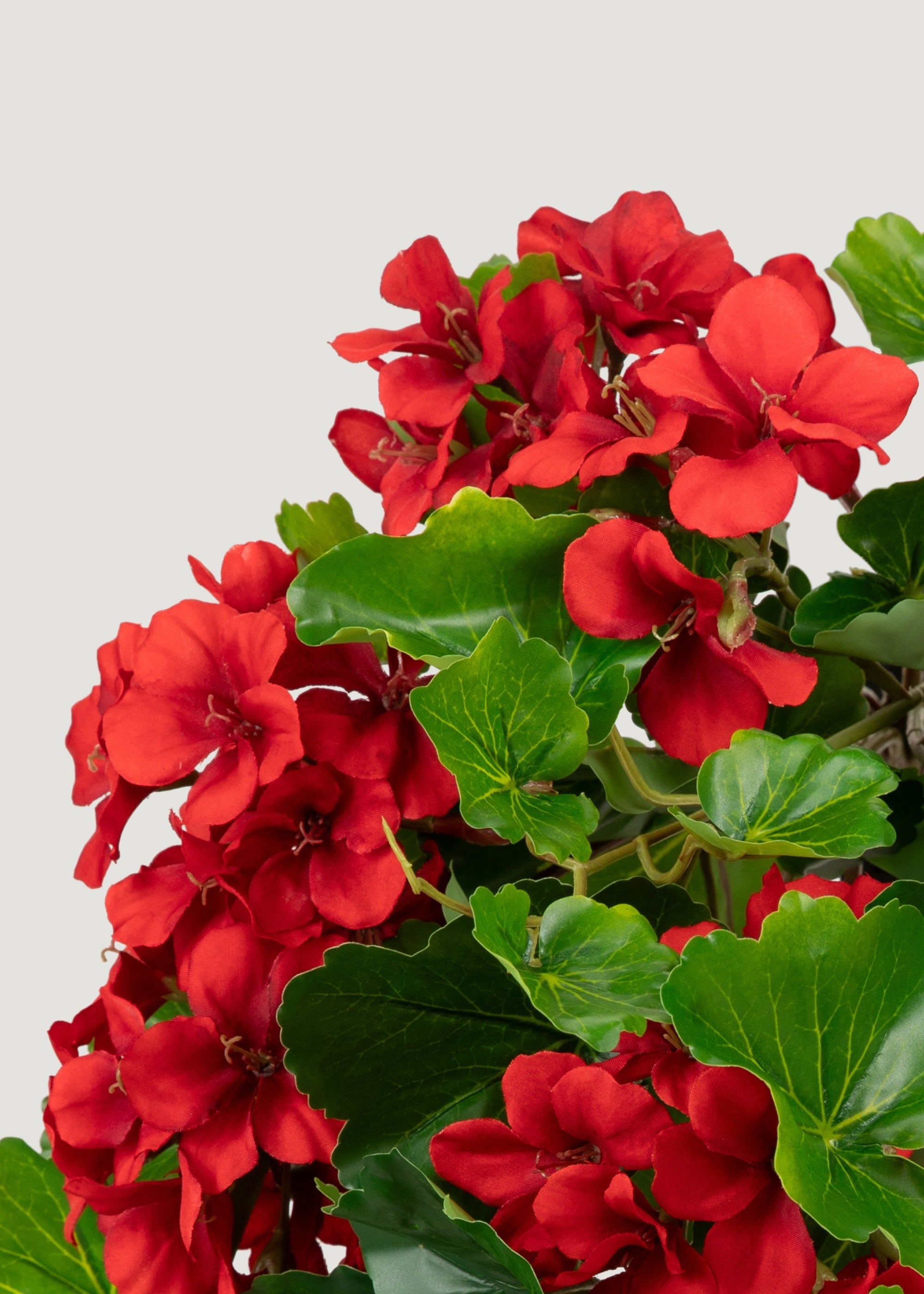 UV Treated Indoor/Outdoor Fake Geranium Hanging Bush - 24"