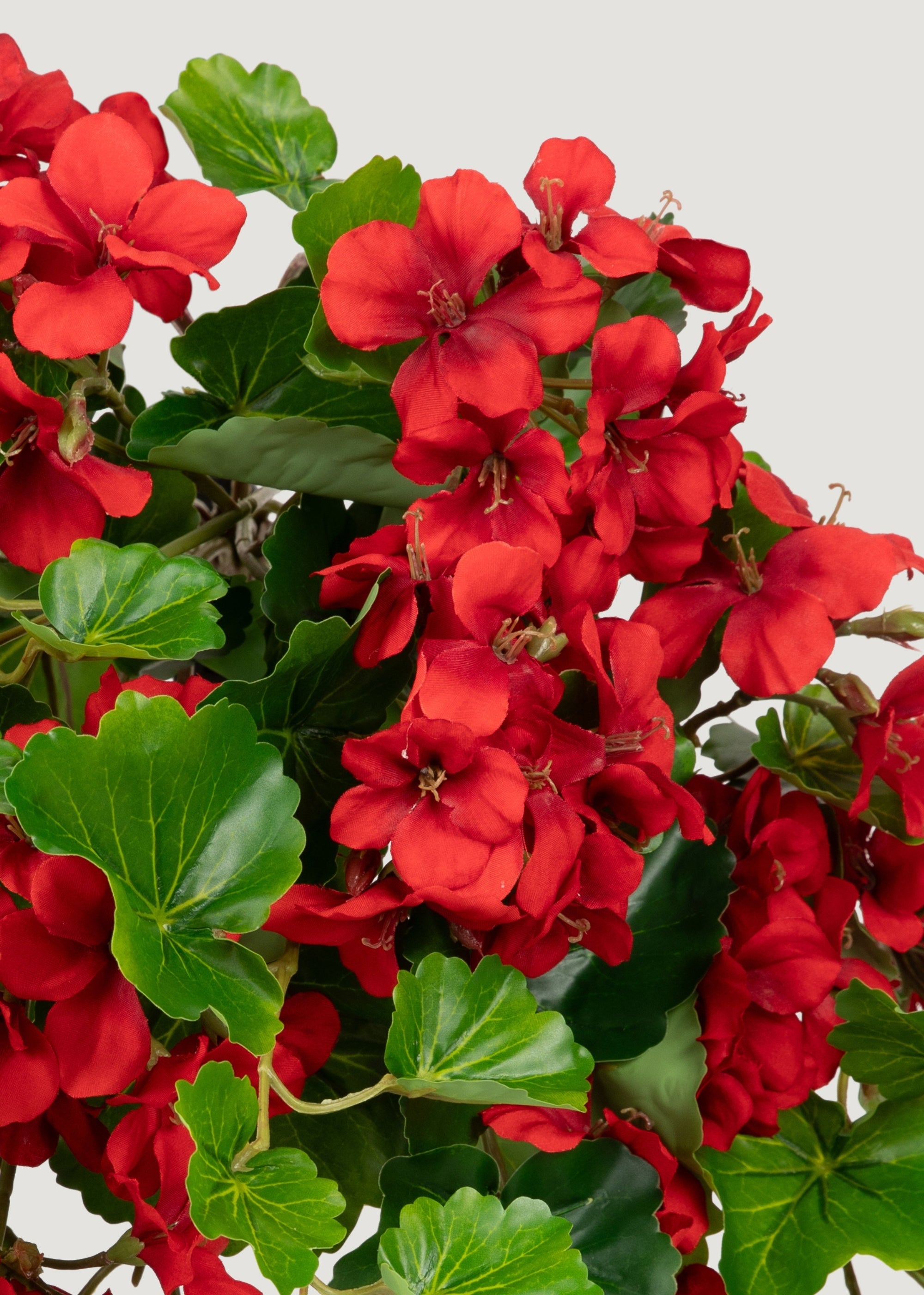 UV Treated Indoor/Outdoor Fake Geranium Hanging Bush - 24"