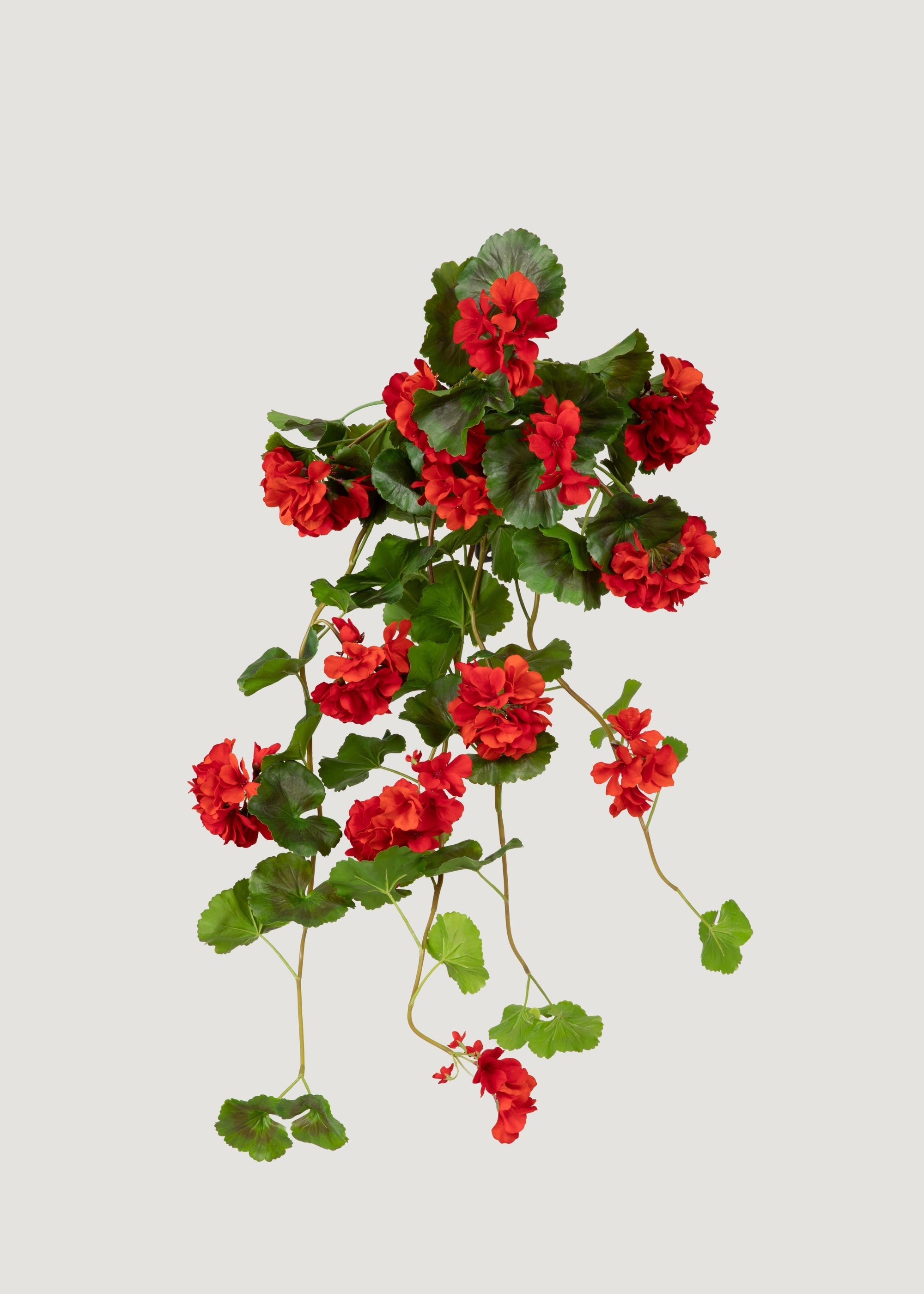 Red UV Treated Indoor/Outdoor Real Touch Geranium Hanging Bush - 36"