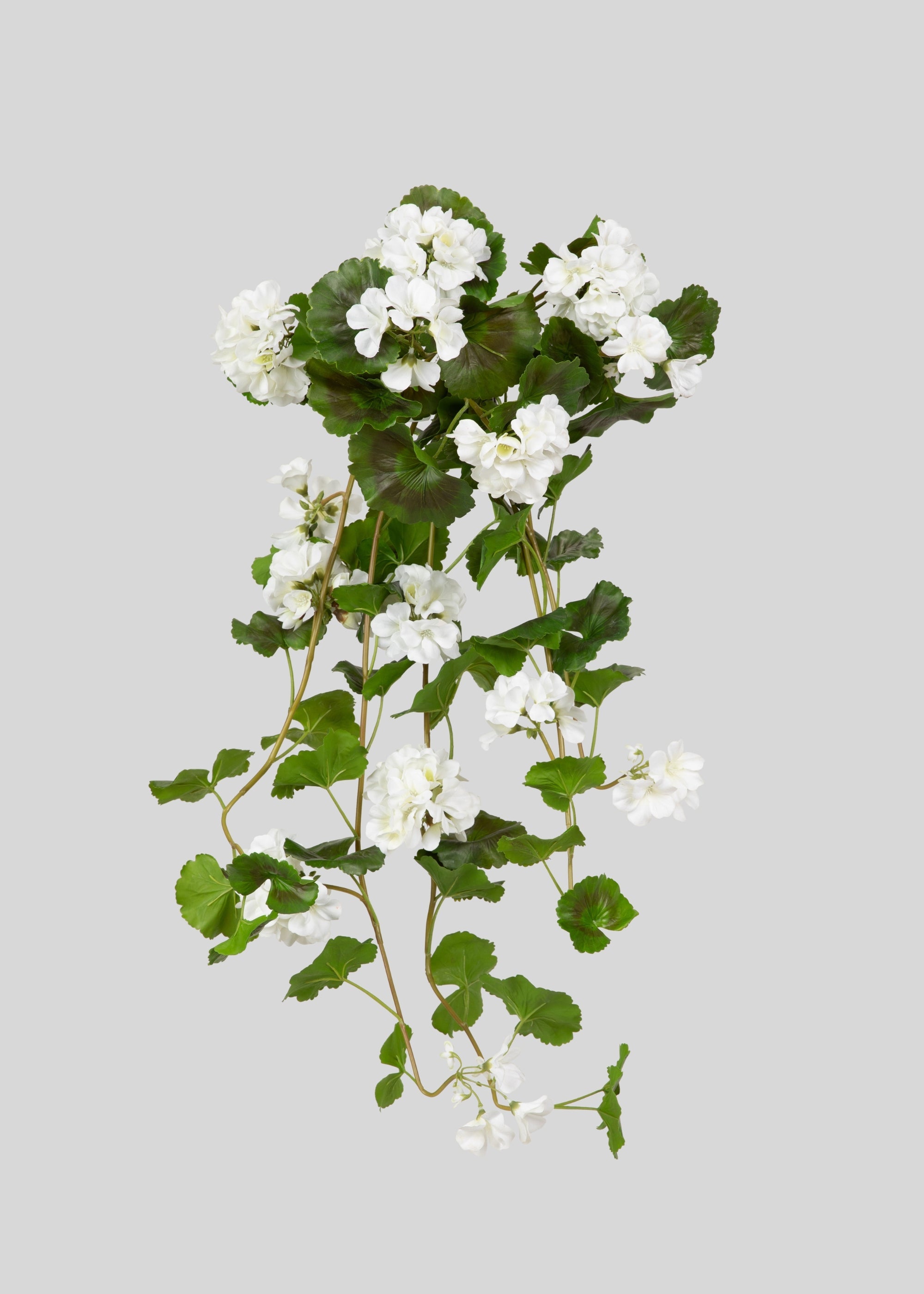 UV Treated Indoor/Outdoor Natural Touch Geranium Hanging Bush - 36"