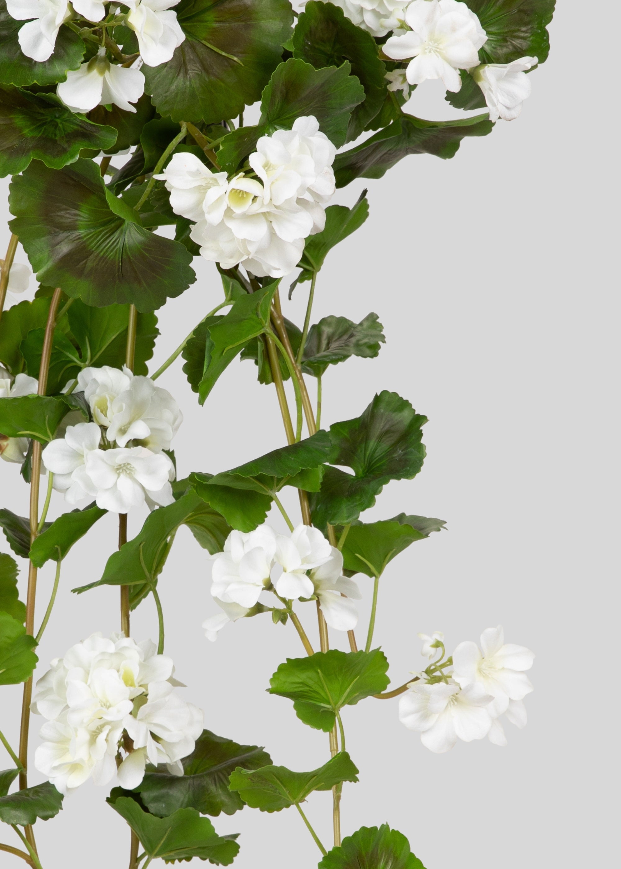 UV Treated Indoor/Outdoor Natural Touch Geranium Hanging Bush - 36"