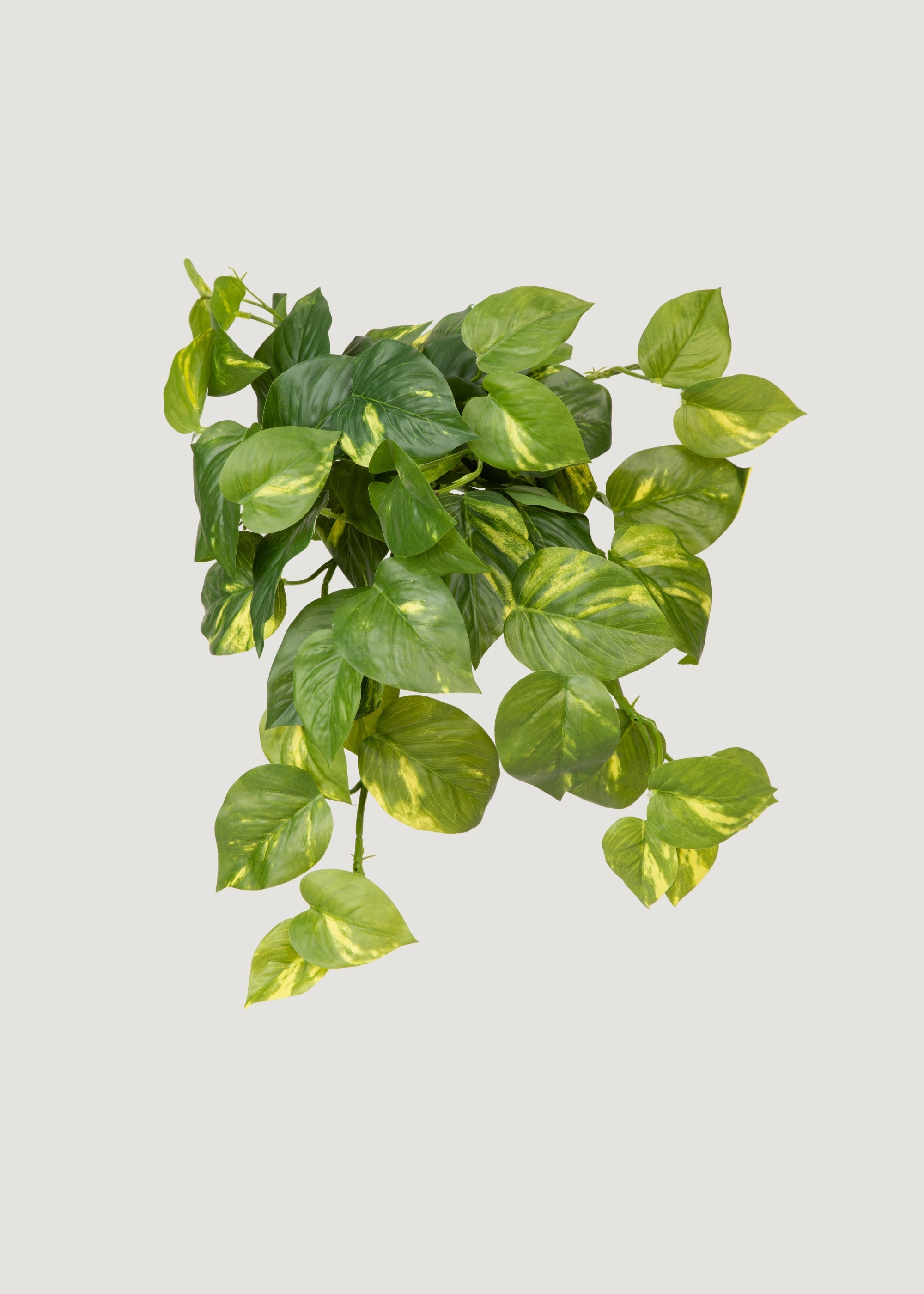 Artificial Pothos UV Treated Indoor/Outdoor Hanging Plant - 19"