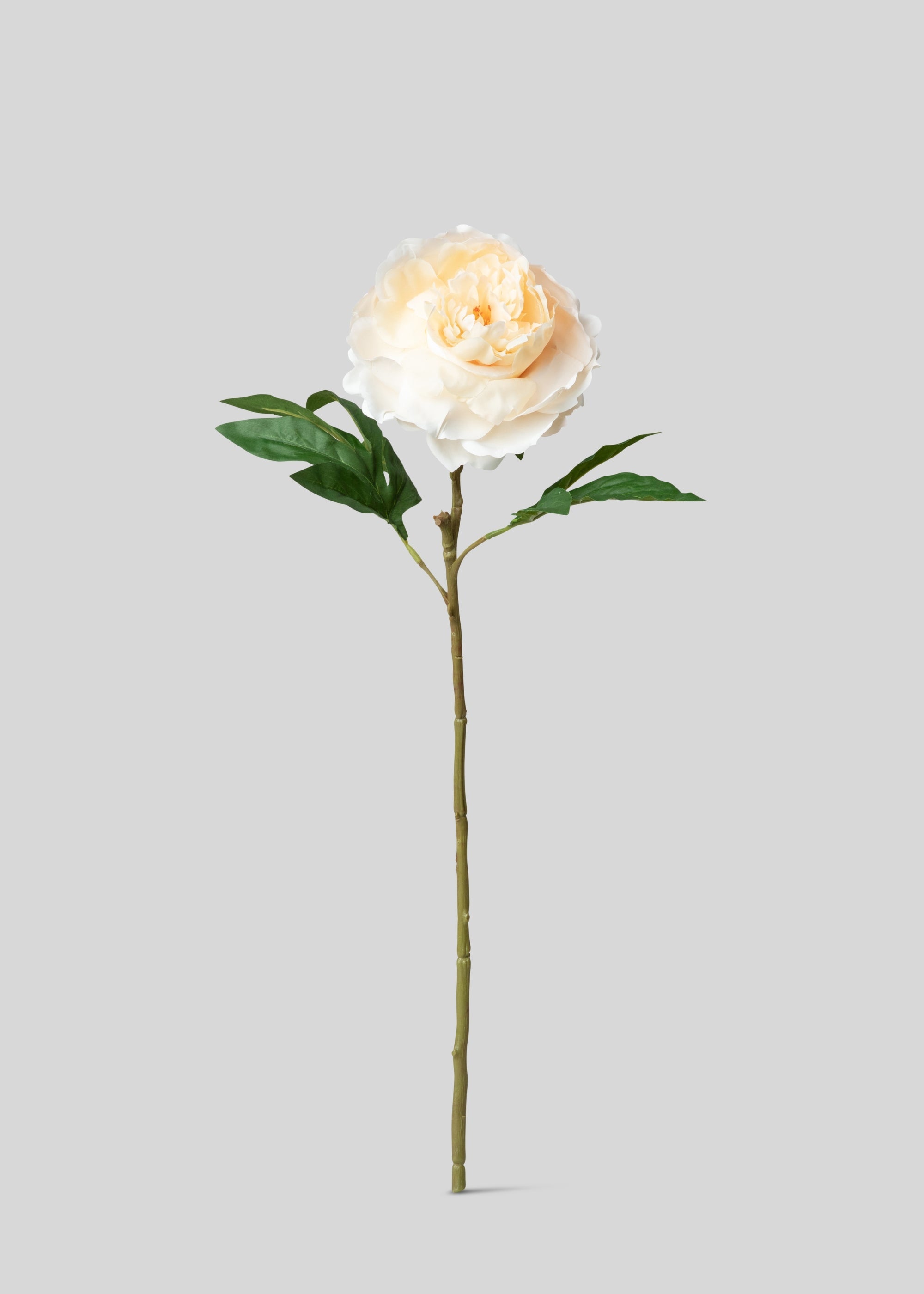 Peach Artificial Peony Flower - 23"