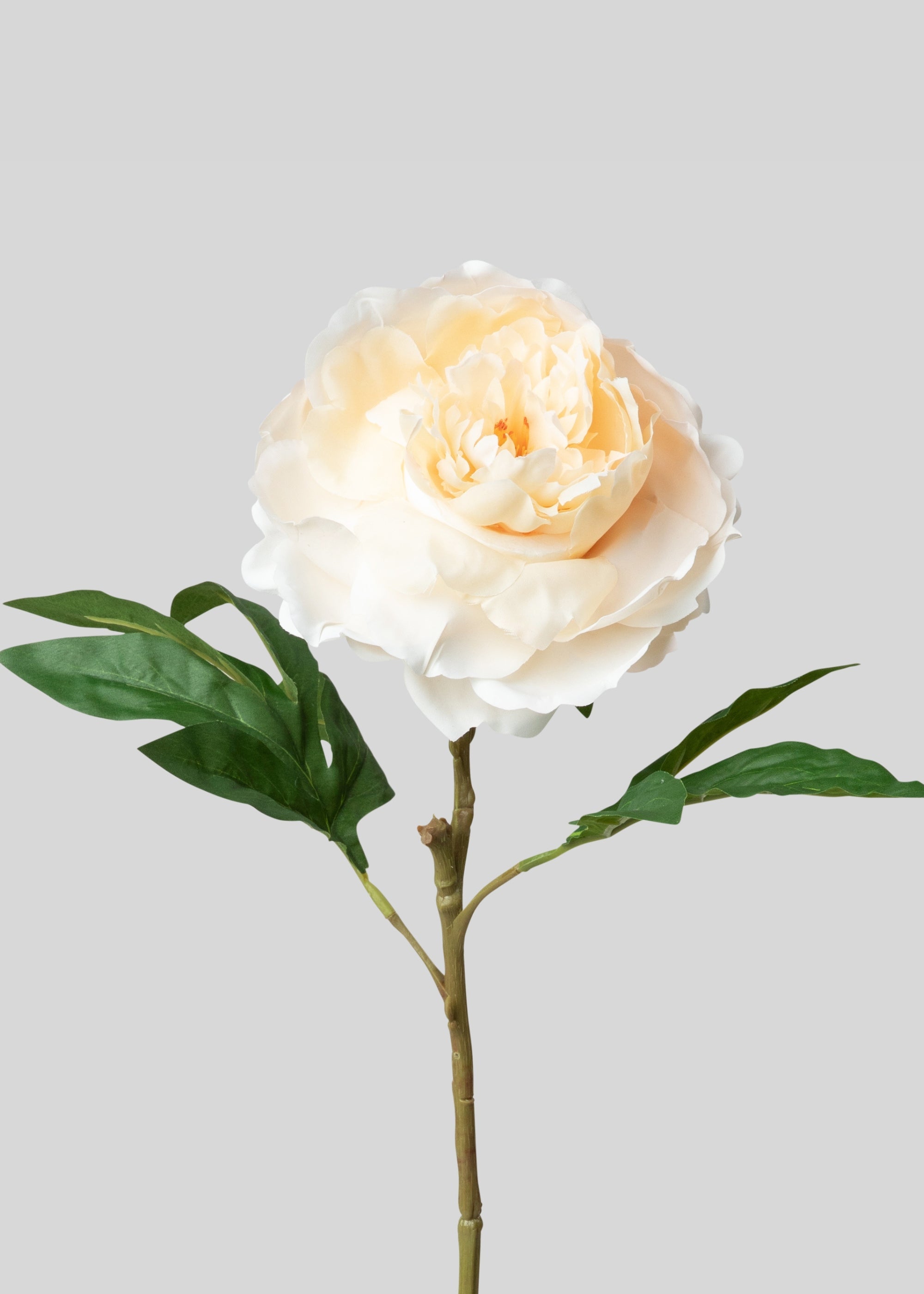 Peach Artificial Peony Flower - 23"