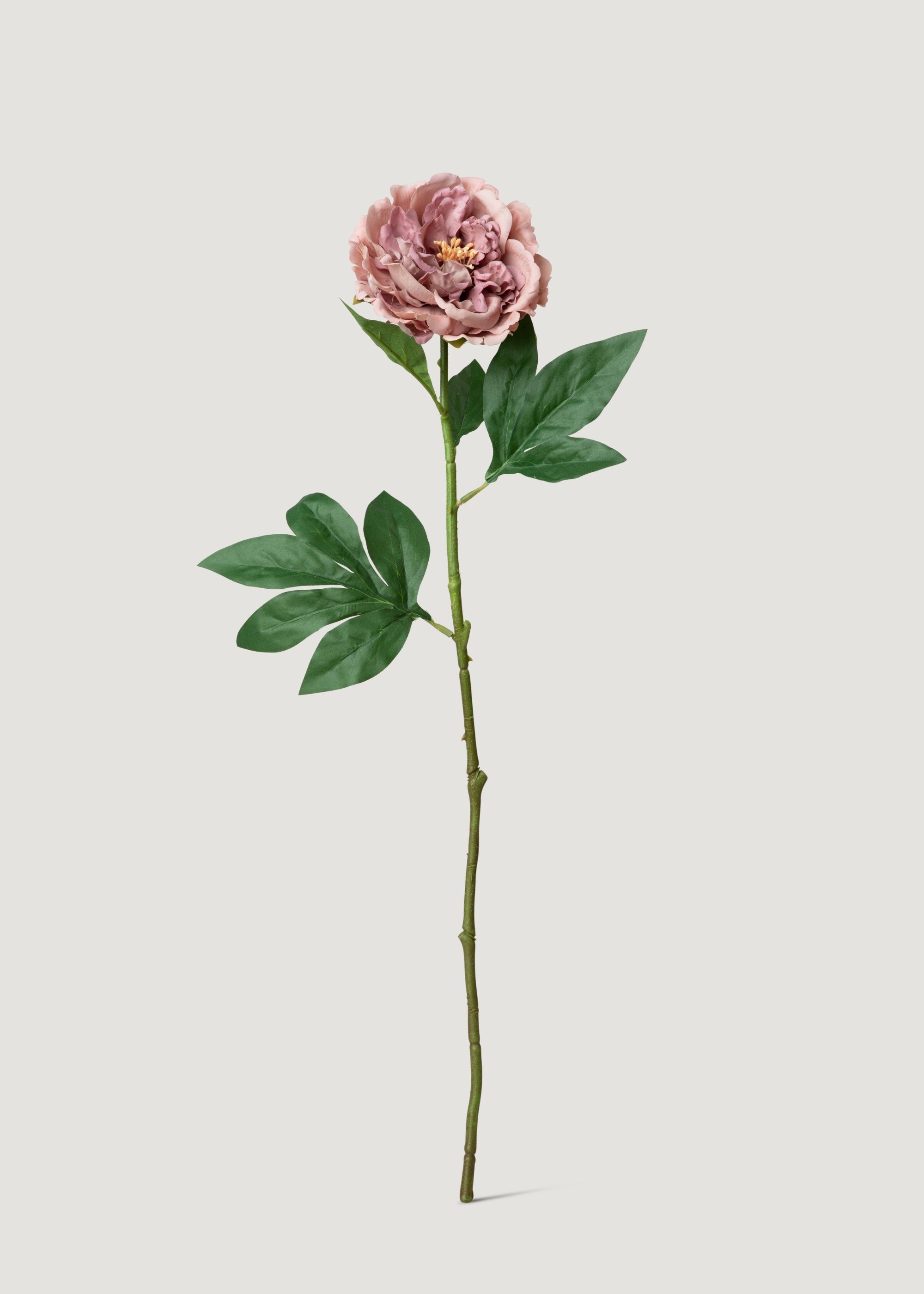 Fake Peony Real Touch Flower in Mauve Pink - 24.5"