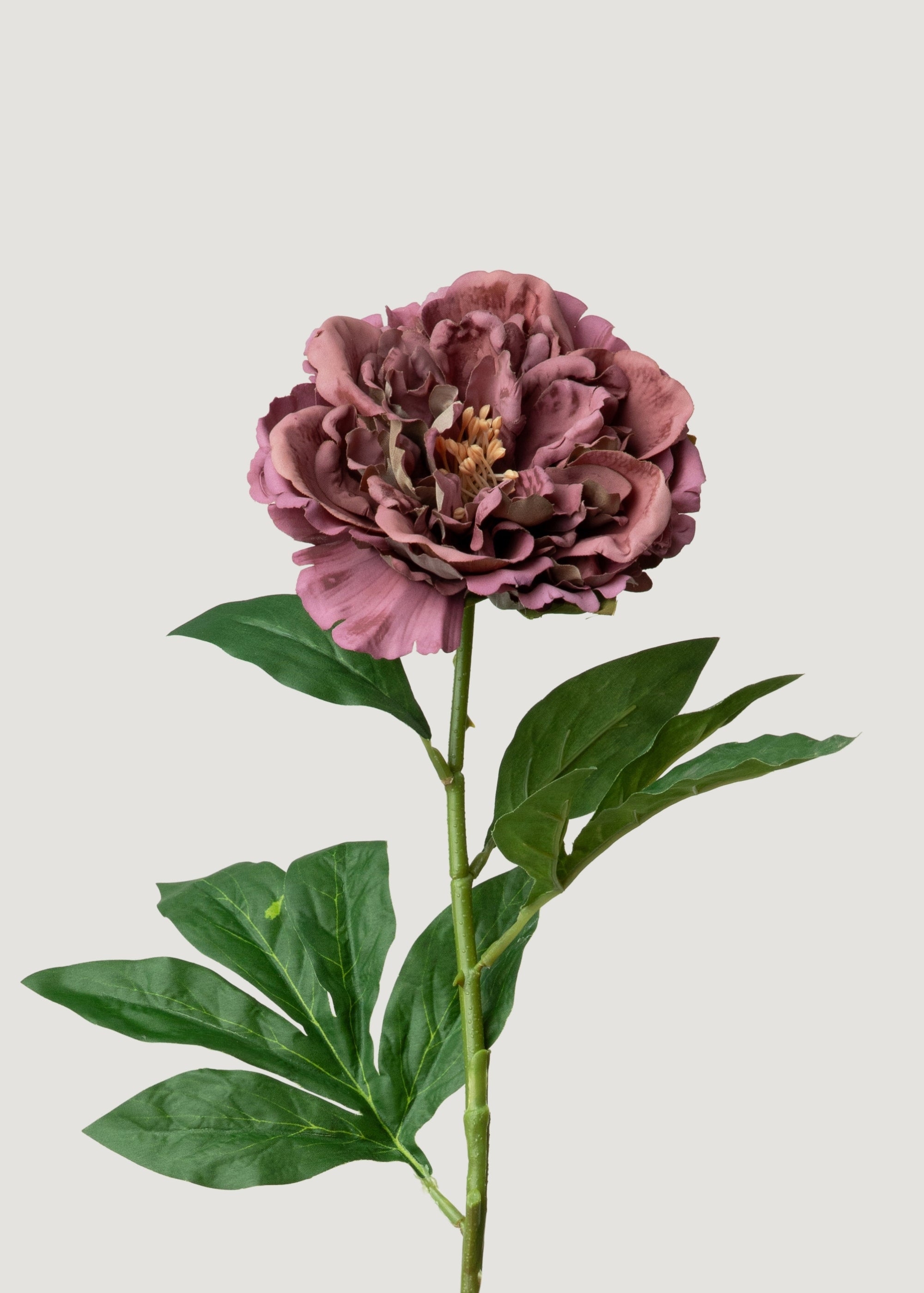 Artificial Mauve Brown Real Touch Peony Flower - 24.5"