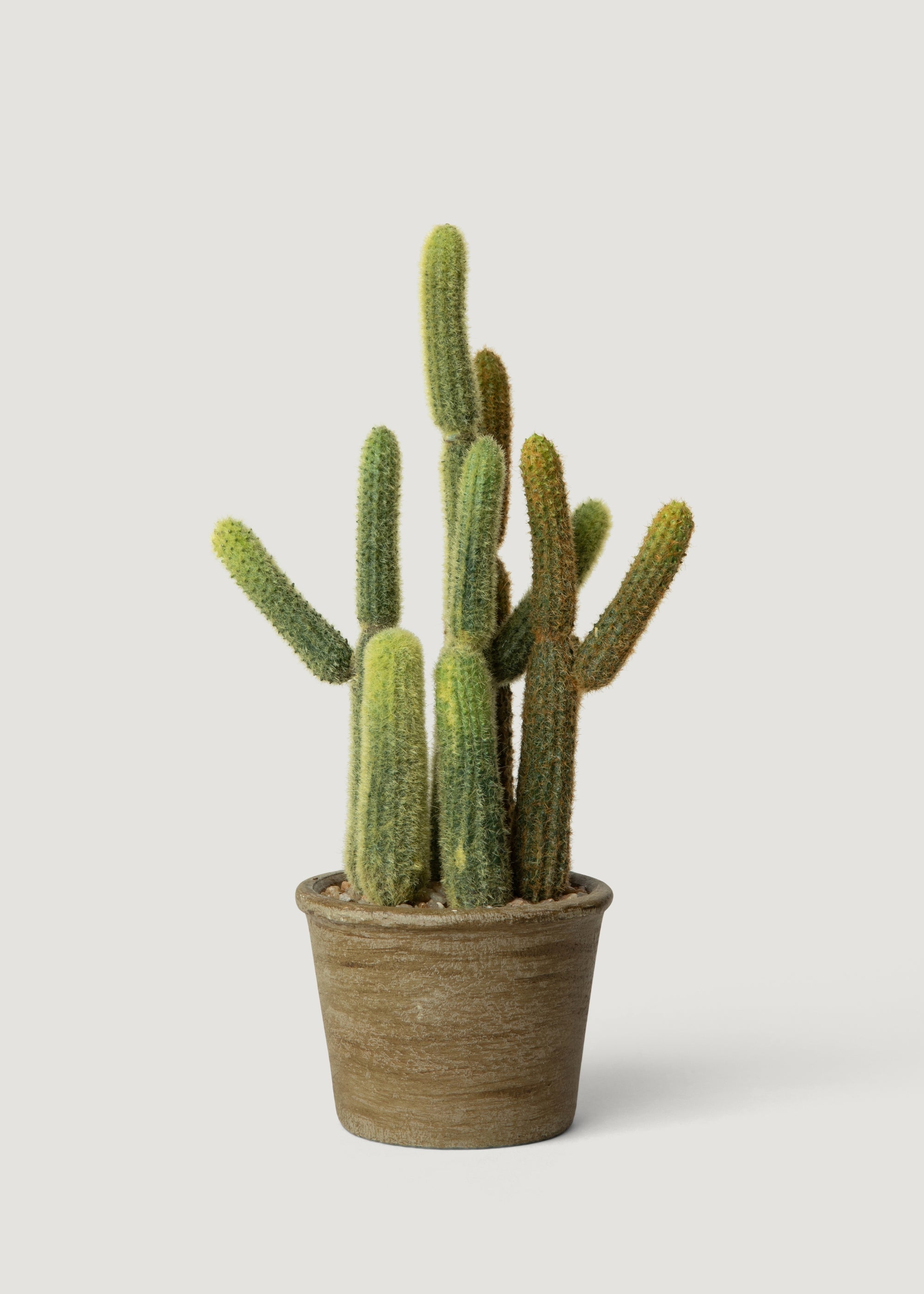 Potted Artificial Cactus Plant - 11"