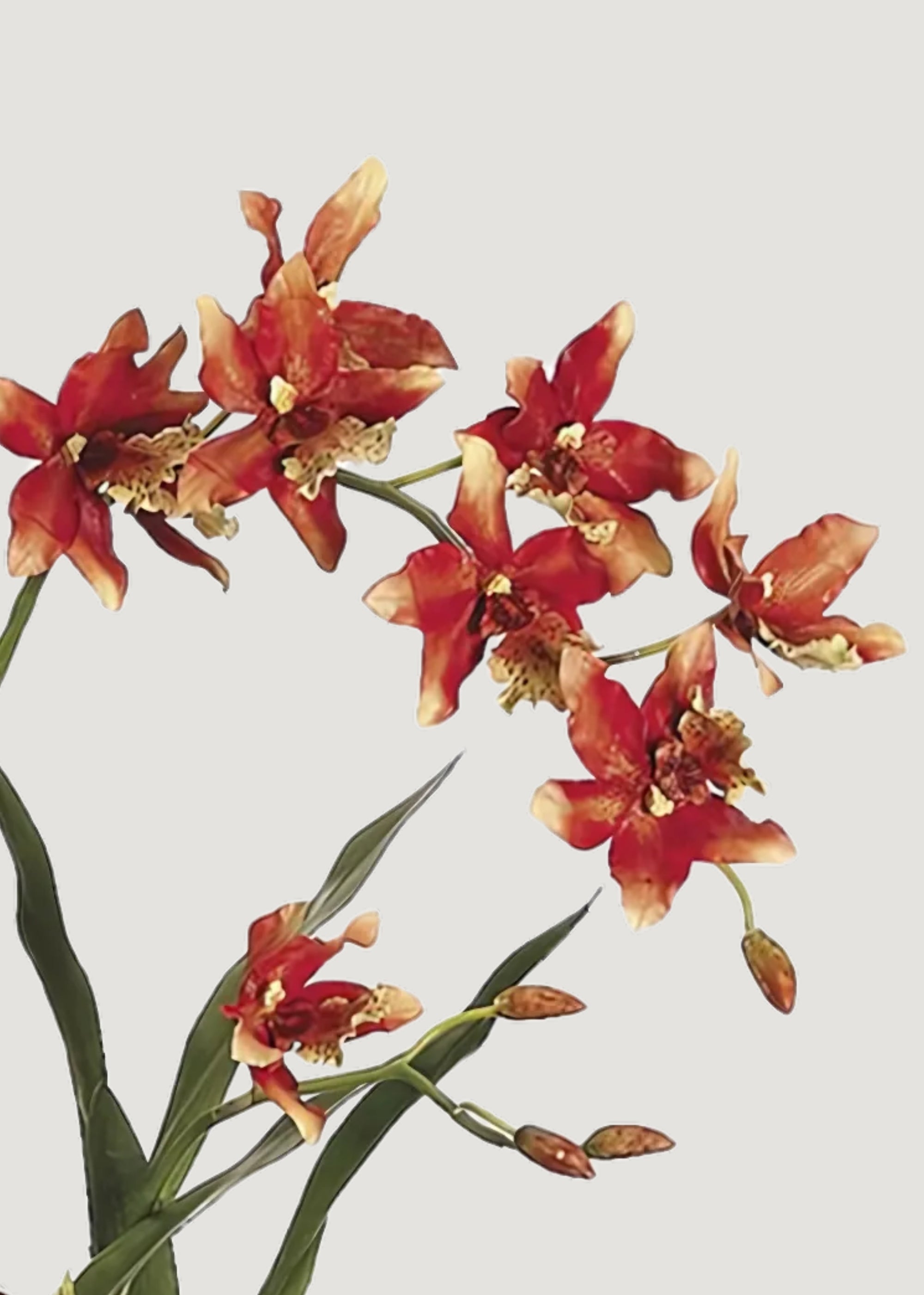 Open Box – Faux Potted Orchid Arrangement in Clay Bowl - 28"