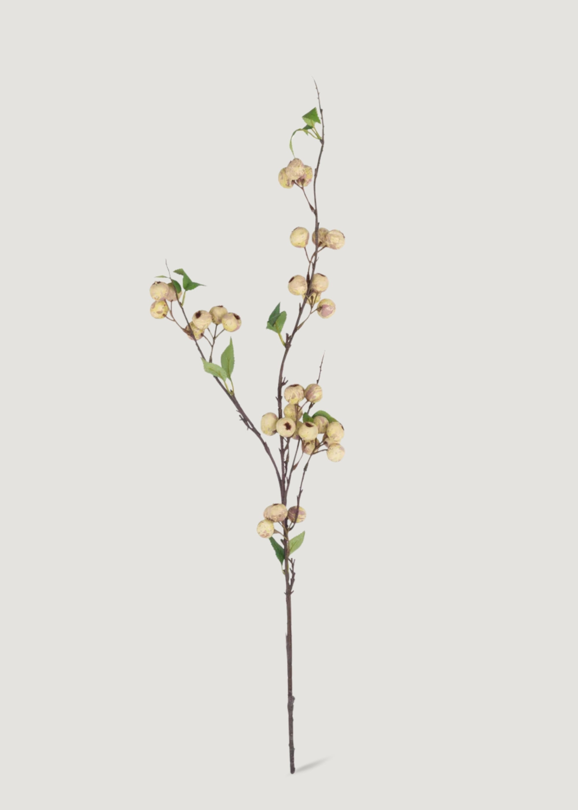 Abigail Ahern Artificial Hawthorn Berry Branch in Cream - 35.25"
