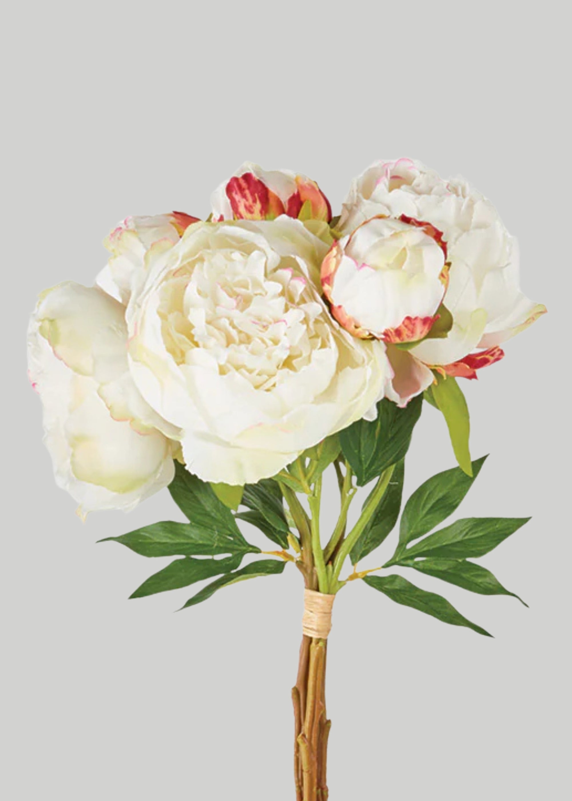 Cream Peony Faux Flower Bundle of Peonies - 21"