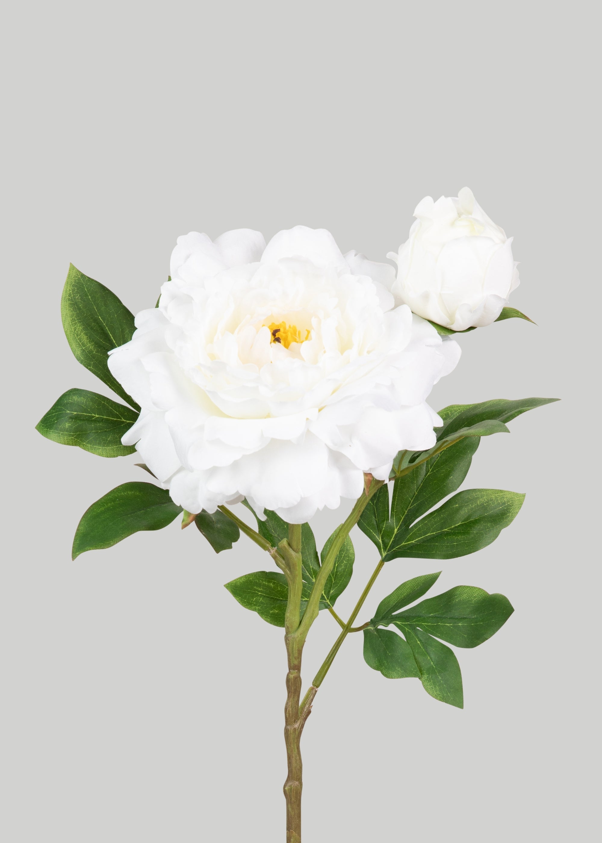 Deluxe White Queen Garden Peony Fake Flower - 30"