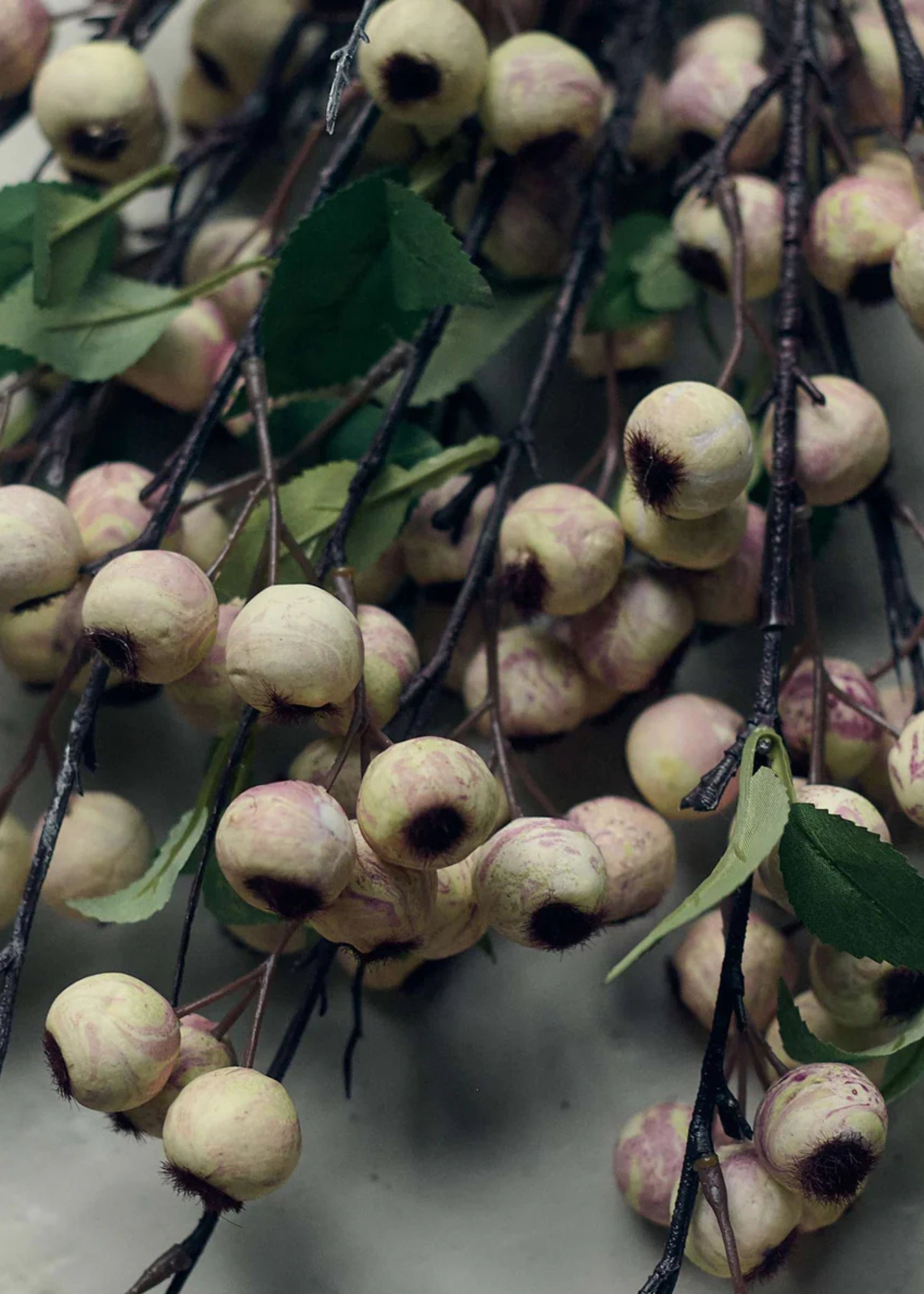 Abigail Ahern Artificial Hawthorn Berry Branch in Cream - 35.25"