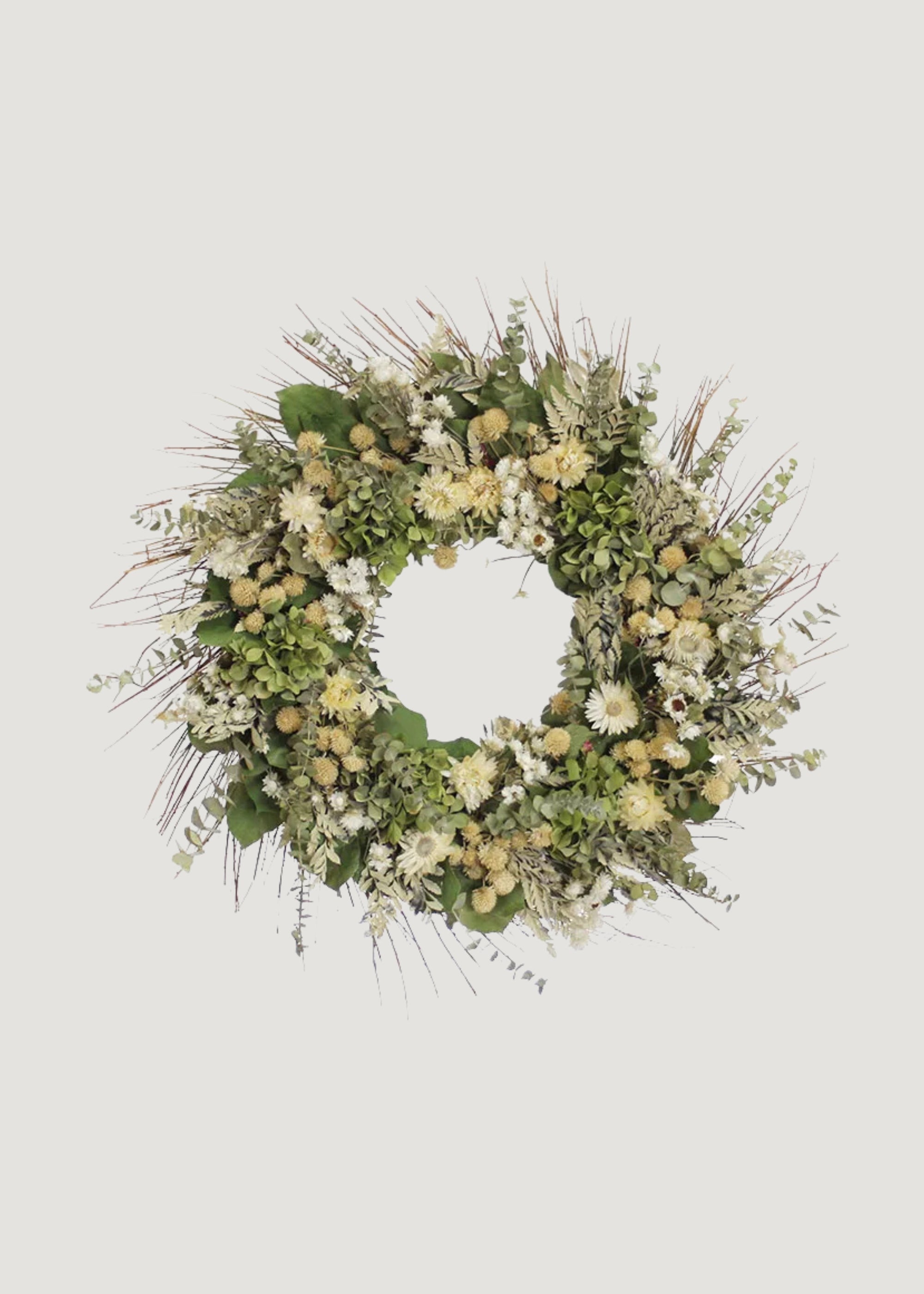 Cream Green Dried Hydrangea Flower and Eucalyptus Wreath - 22"