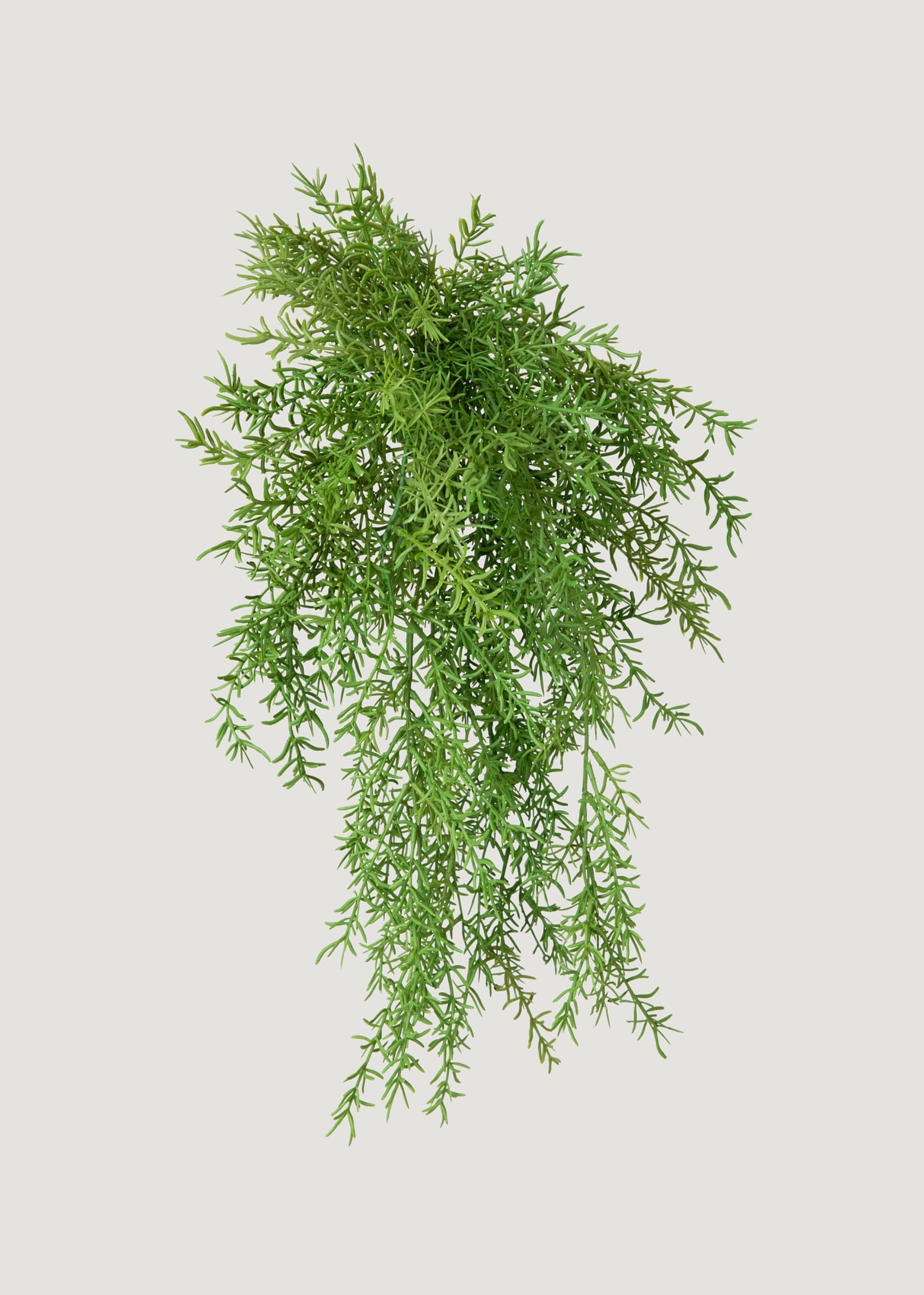 Artificial Hanging Asparagus Fern Plant - 22"