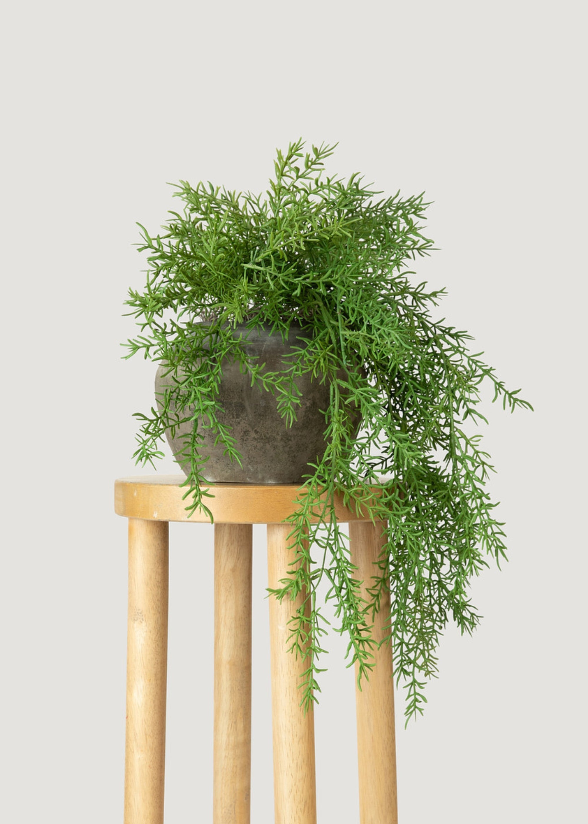 Artificial Hanging Asparagus Fern Plant - 22"