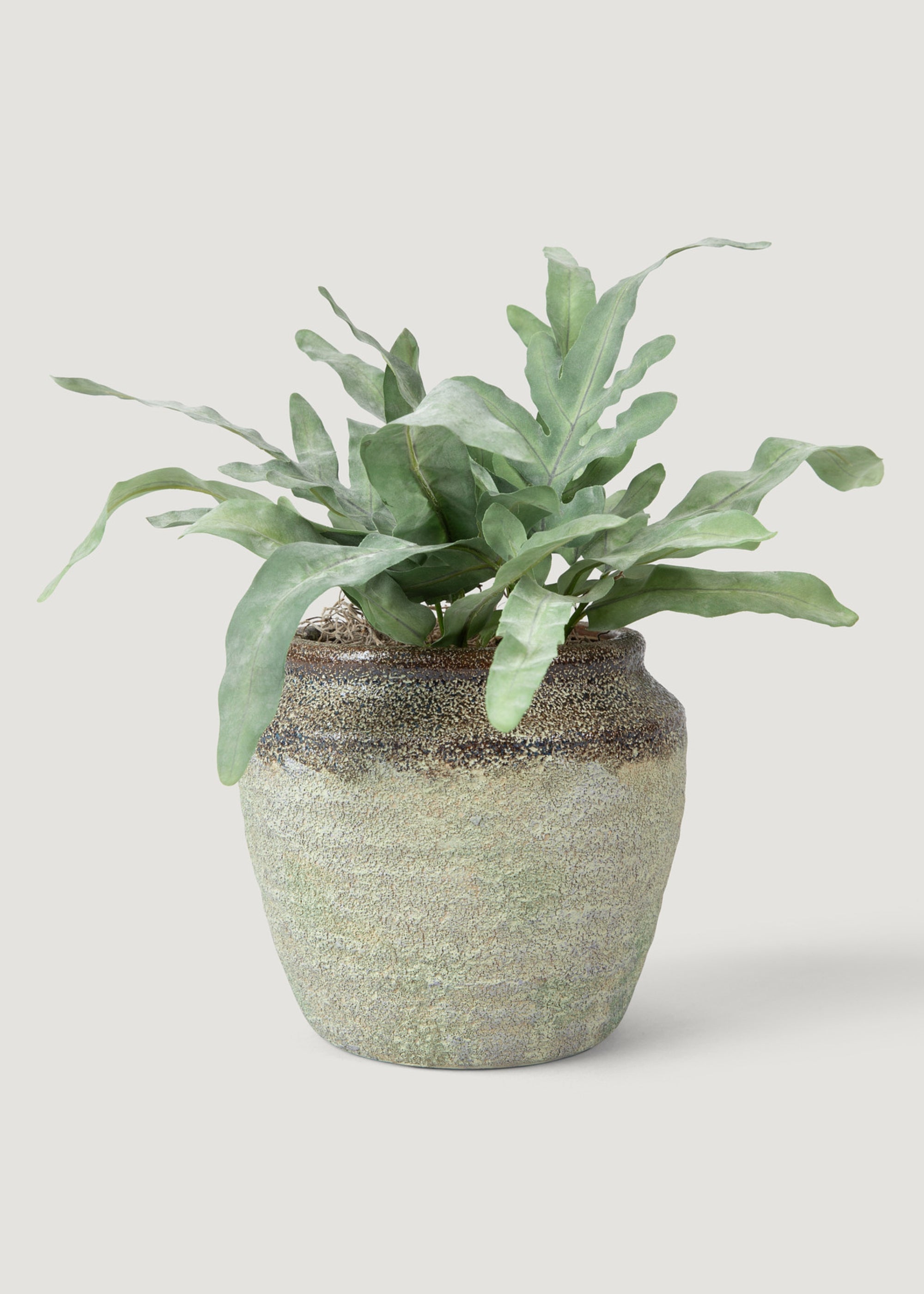 Artificial Echeveria Fern Drop-In Plant - 8.5"