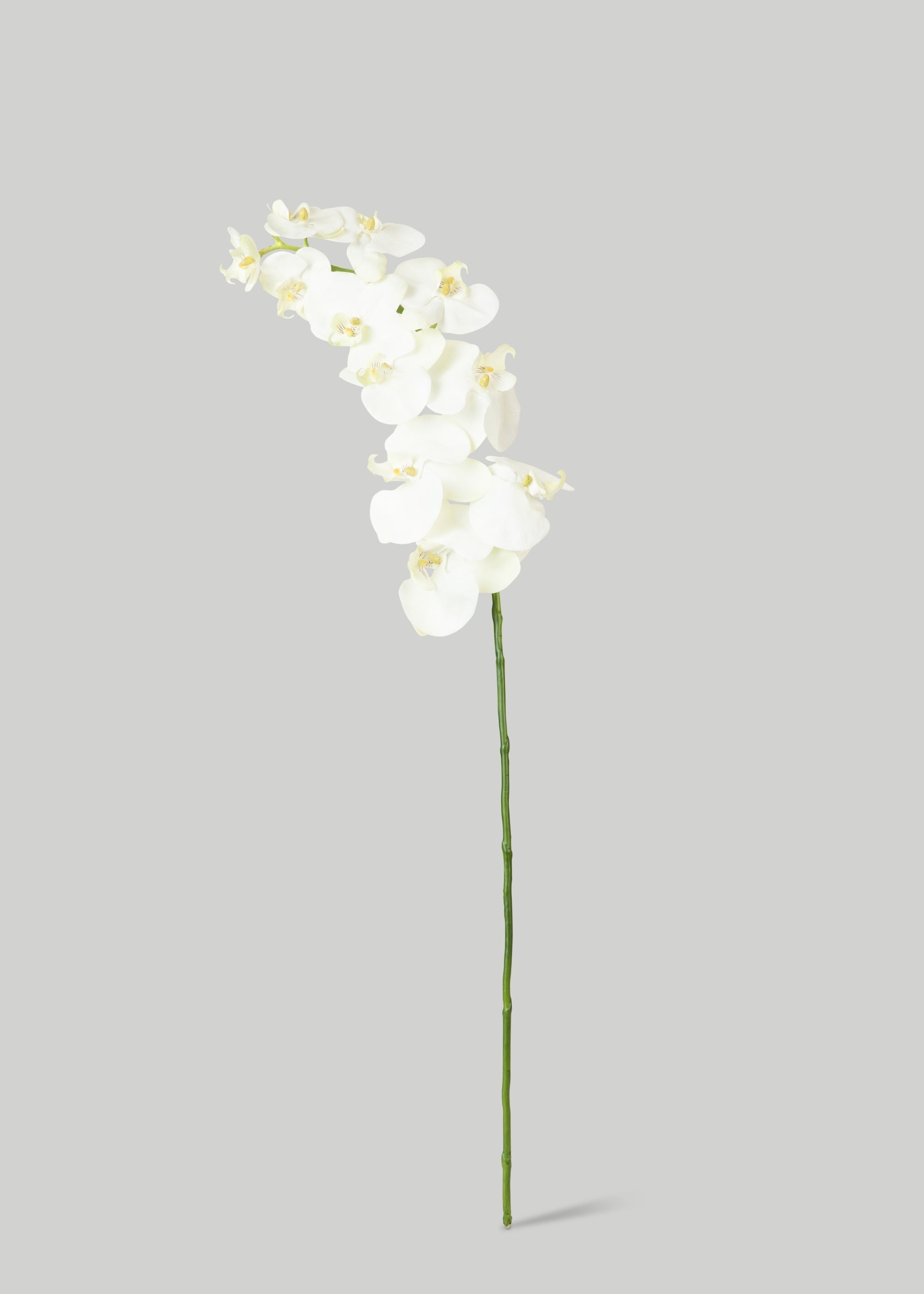 White Cream Artificial Phalaenopsis Orchids - 39"