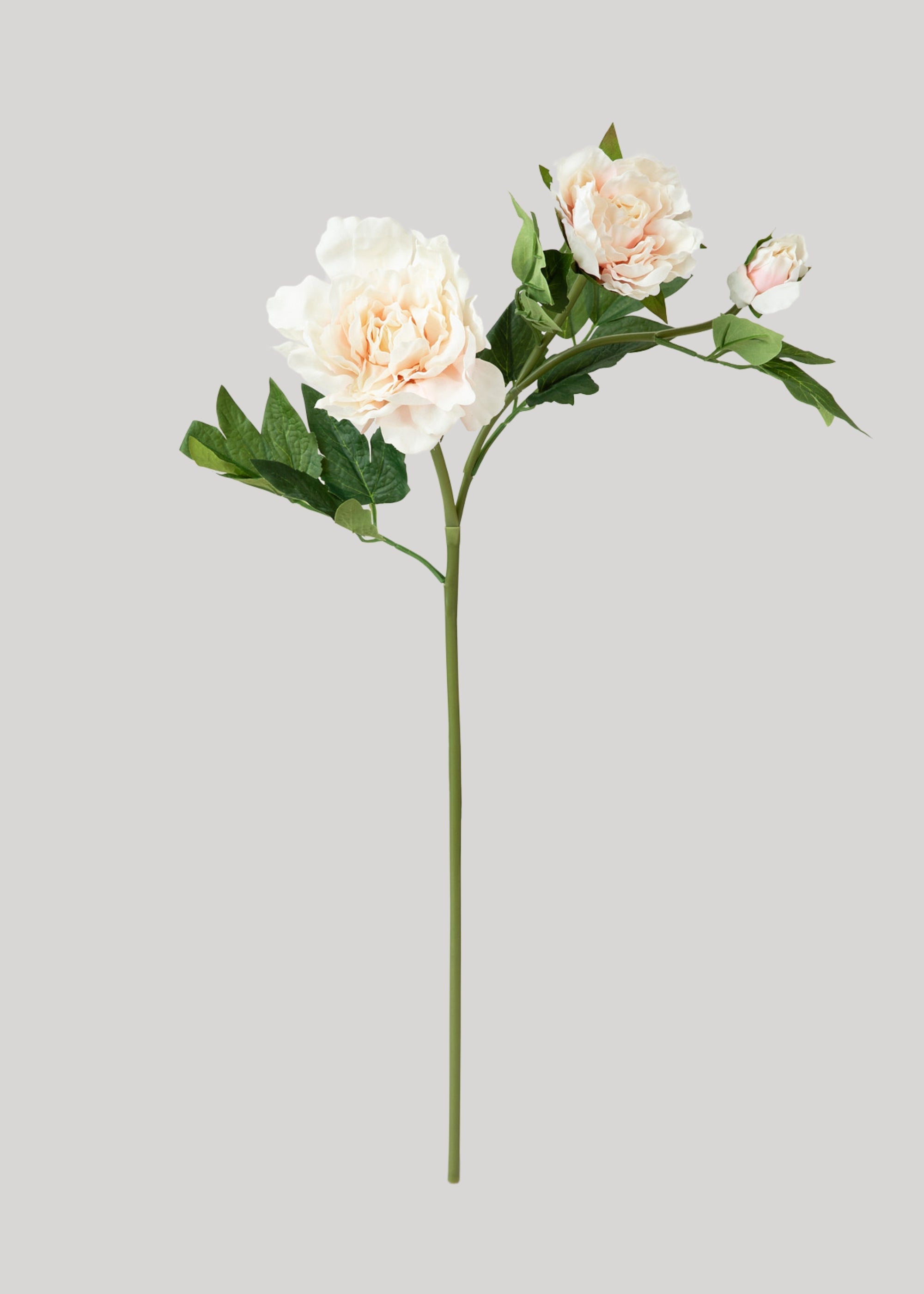 Real Touch Peony Flowers in Soft Pink - 26"