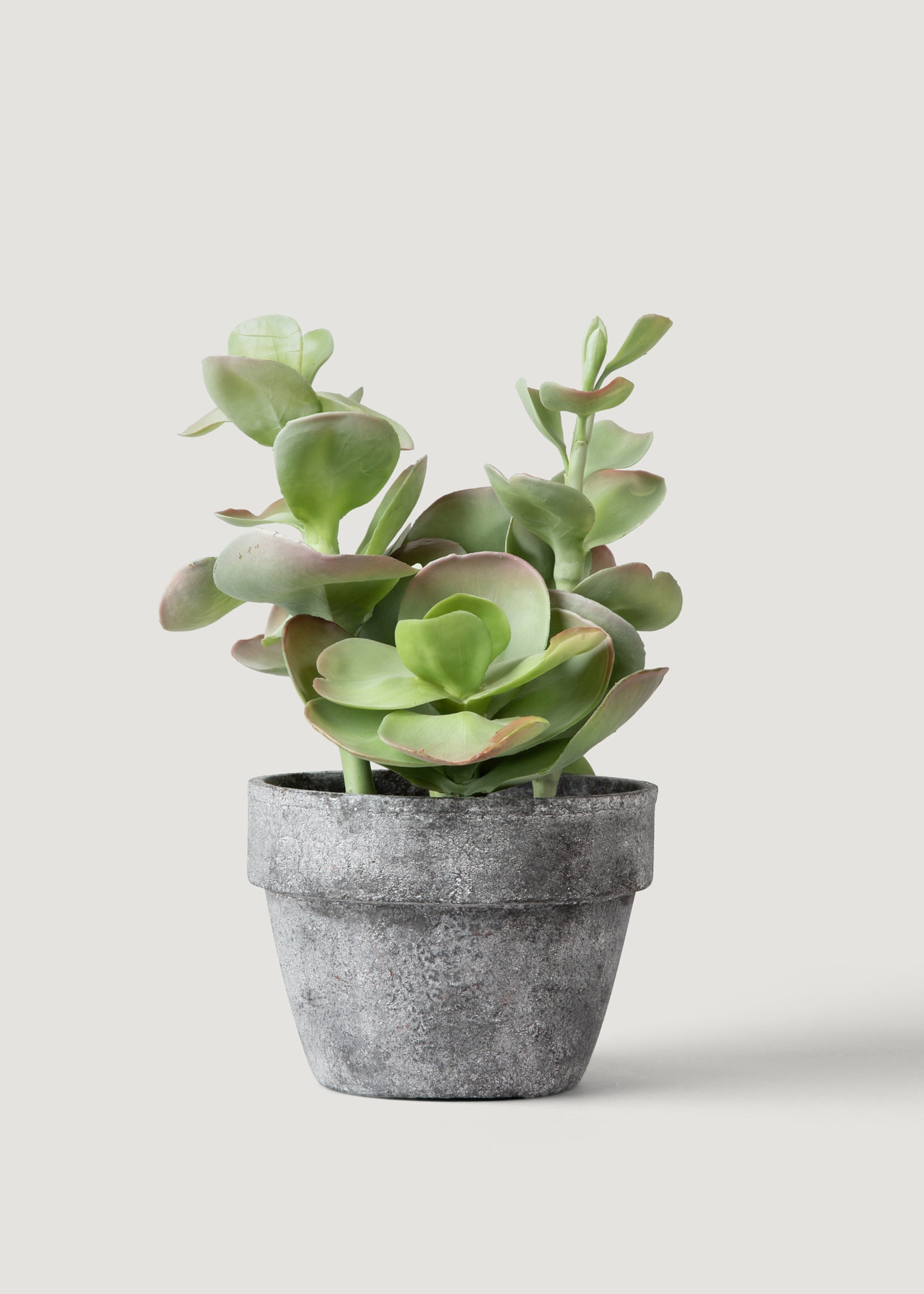 Fake Potted Artificial Succulent Plant  - 16.5"