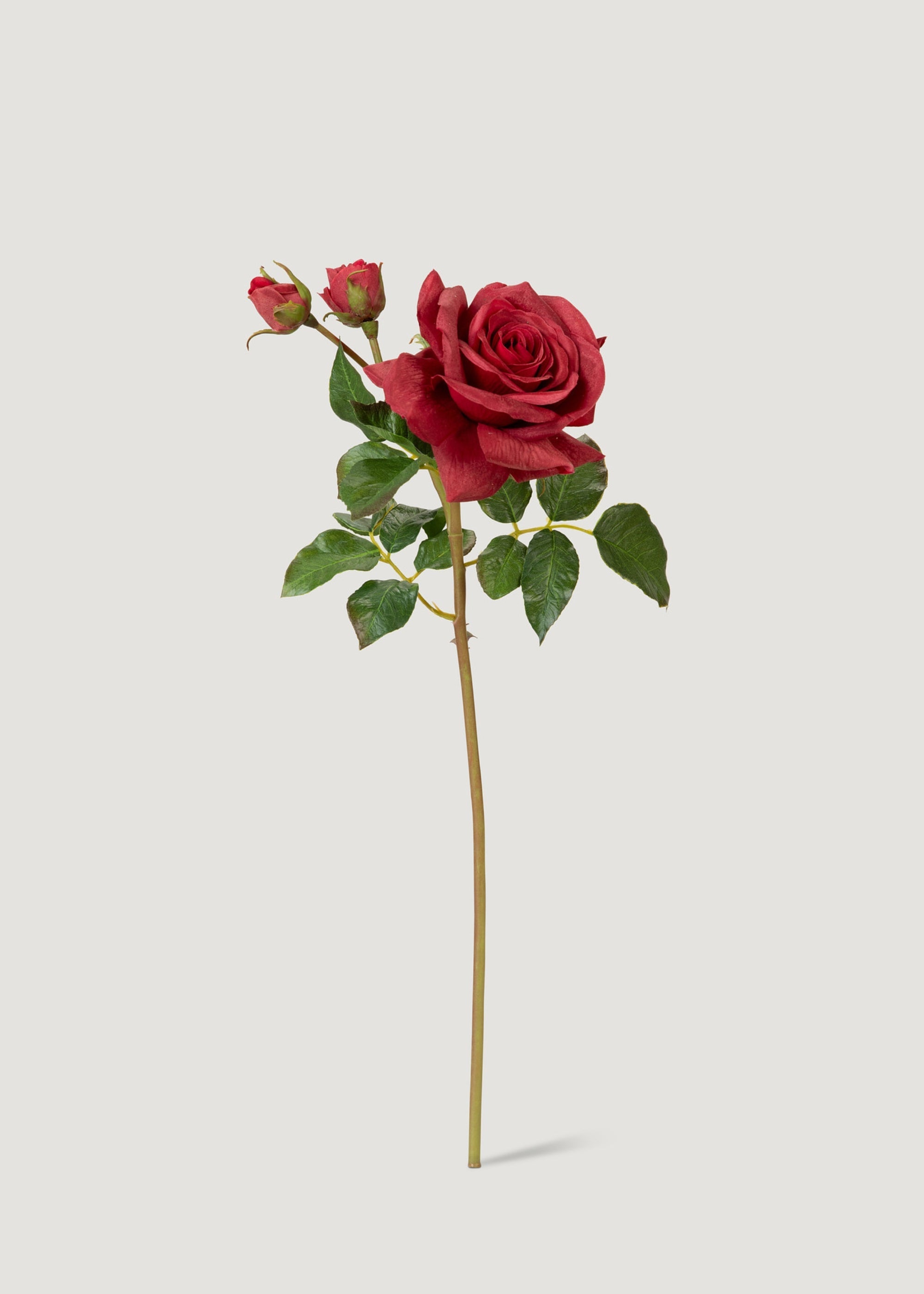 Real Touch English Rose Artificial Flower in Red - 22"