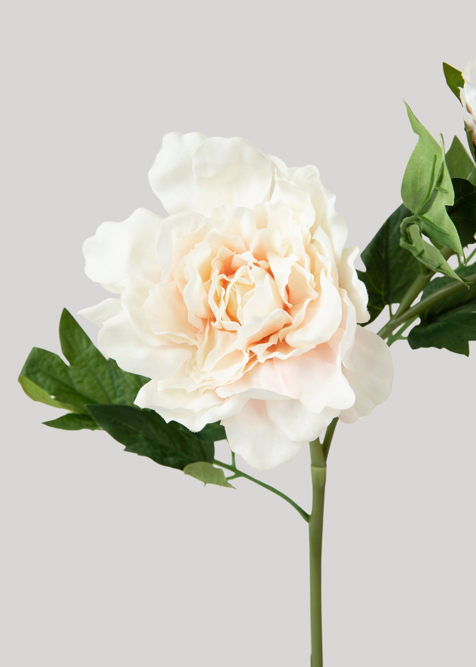 Real Touch Peony Flowers in Soft Pink - 26"