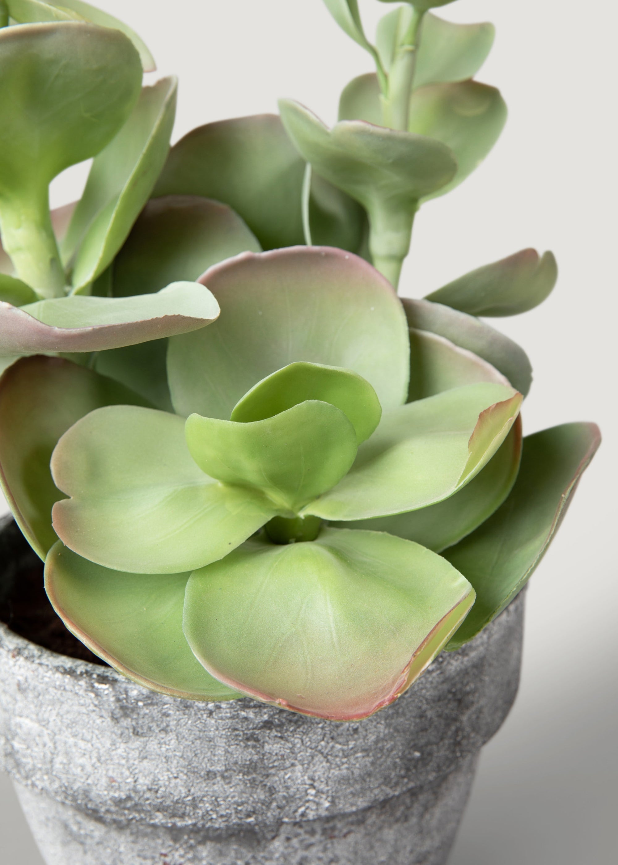 Fake Potted Artificial Succulent Plant  - 16.5"