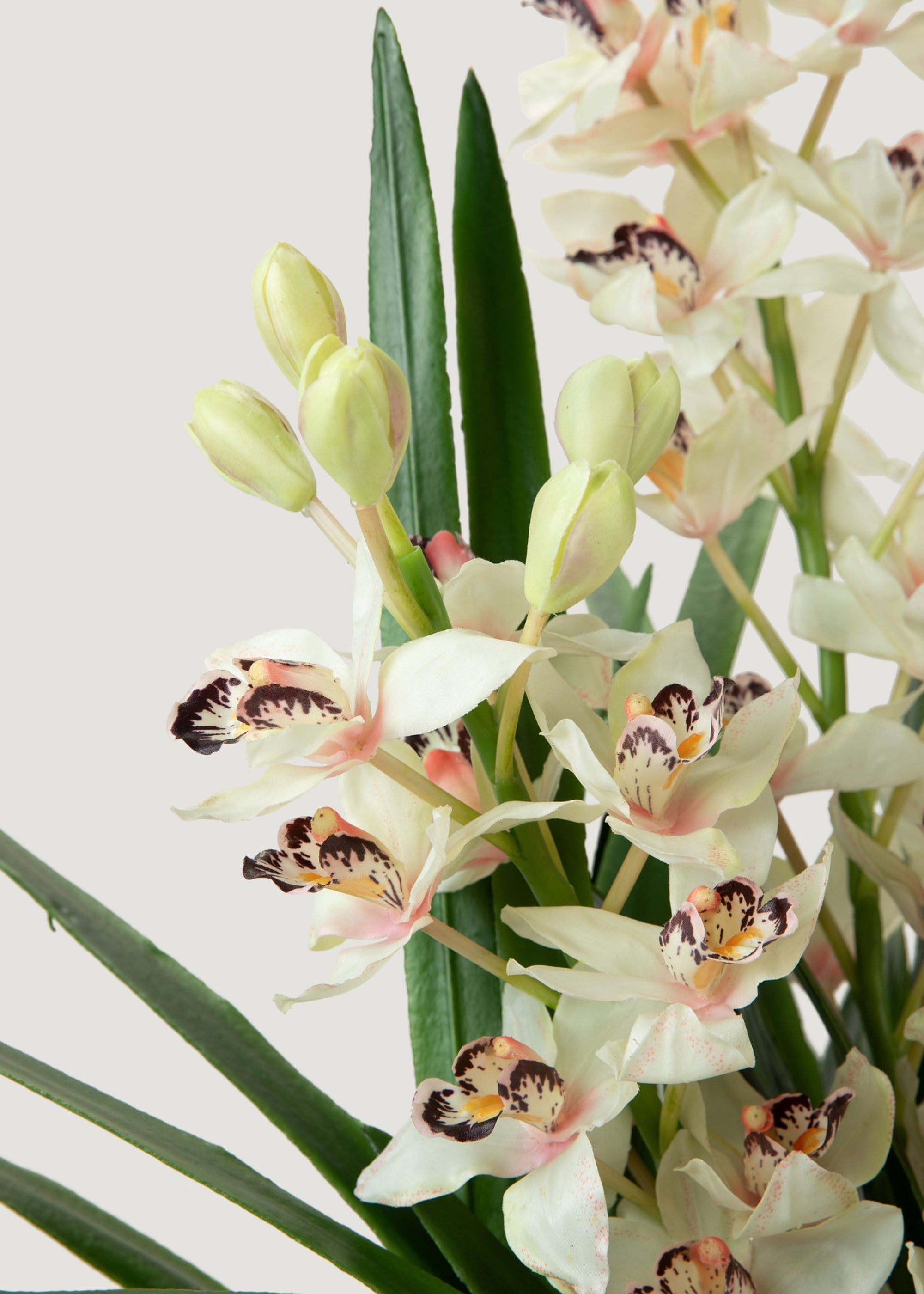 SALE - Cymbidium Orchid Potted Fake Plant in Glass Vase - 36"