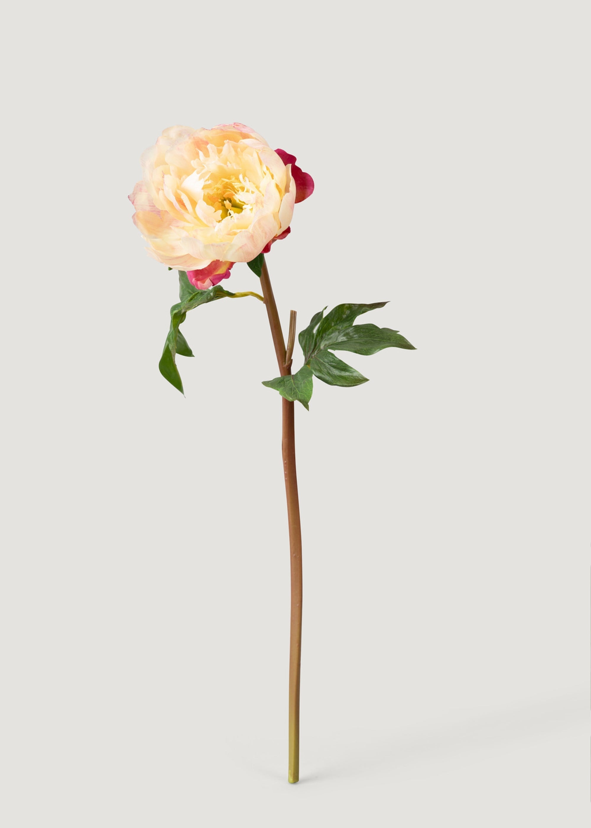 Fake Peony Flower in Peach Pink - 20"