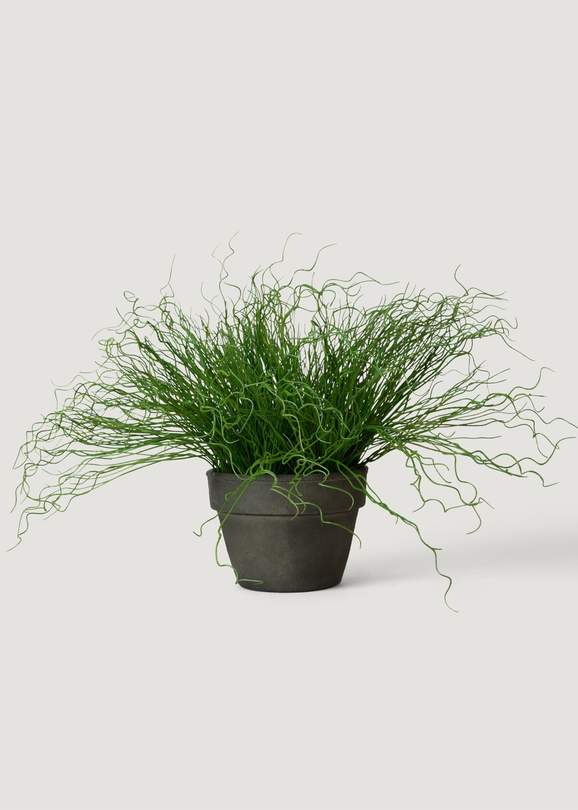 Artificial Potted Pencil Cactus Plant - 18.5"