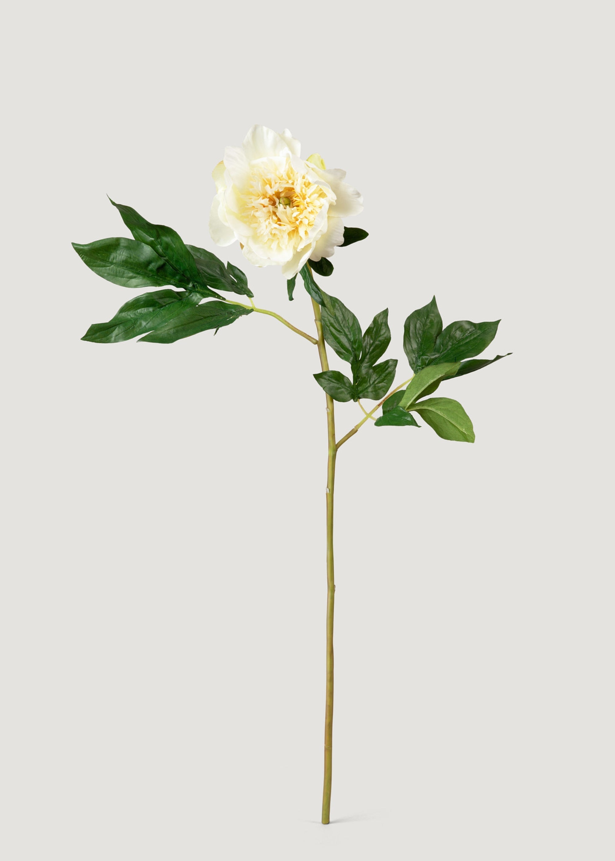Artificial Peony Flower in Cream - 28.5"