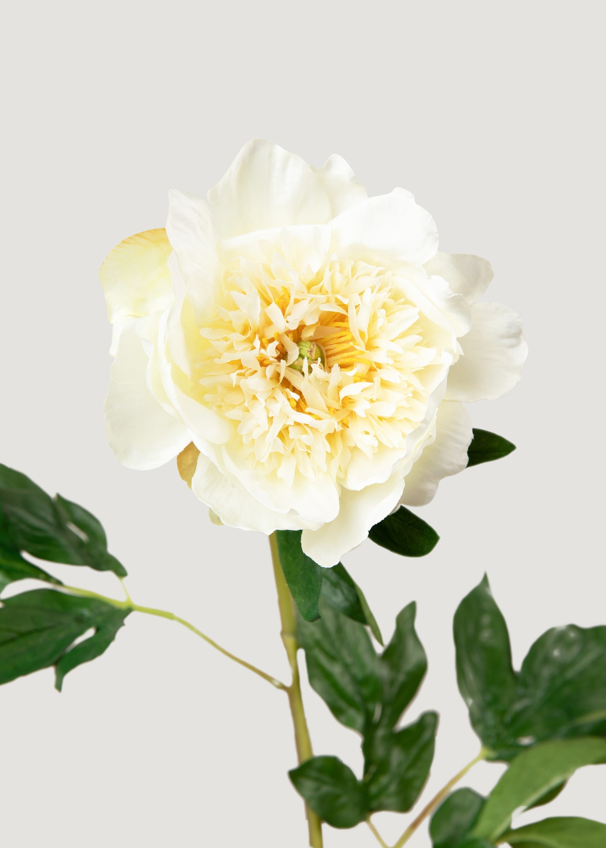 Artificial Peony Flower in Cream - 28.5"