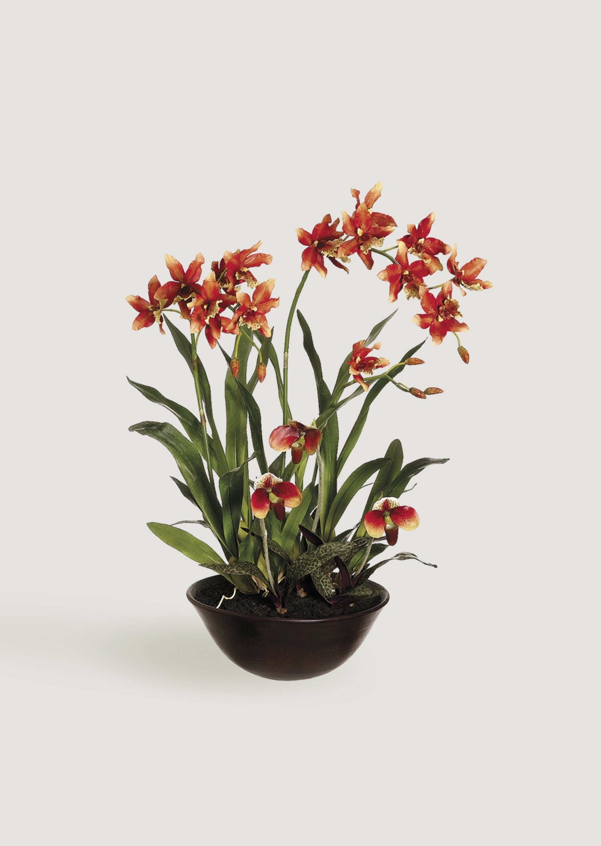 Open Box – Faux Potted Orchid Arrangement in Clay Bowl - 28"