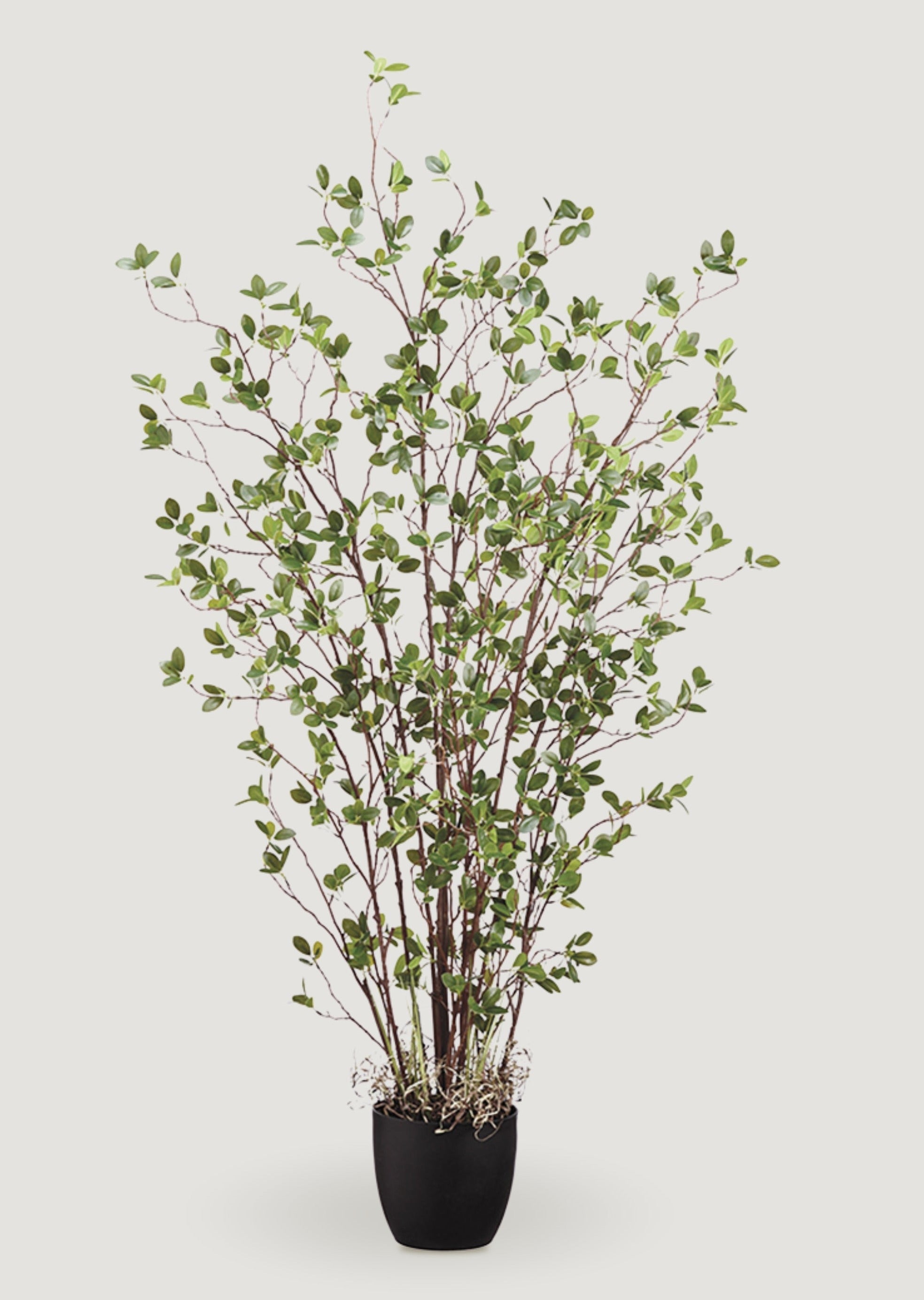 Open Box – Faux Mini Leaf Tree Potted Plant - 60"