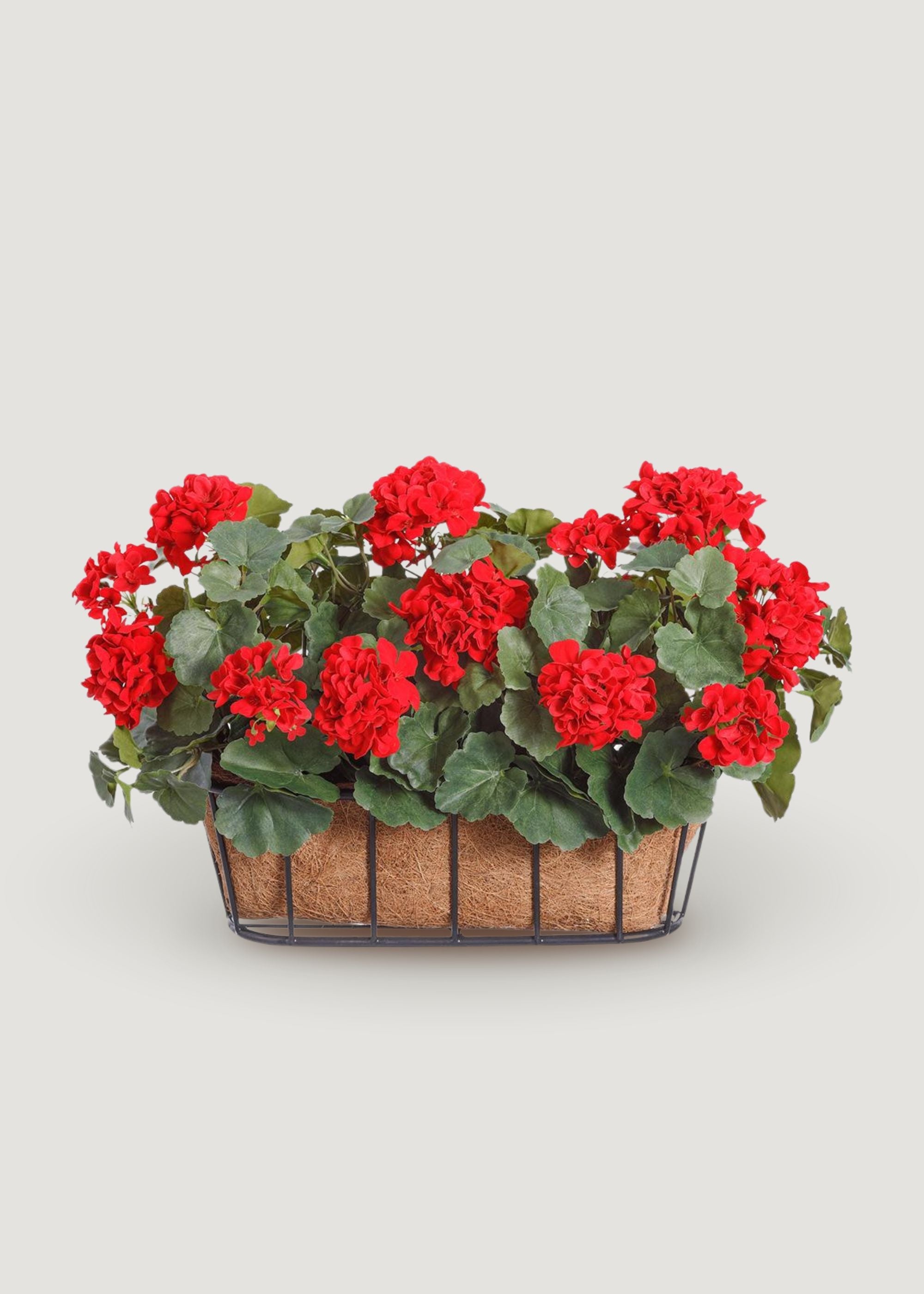 Fake Potted Geranium Arrangement in Hanging Metal Basket - 14"