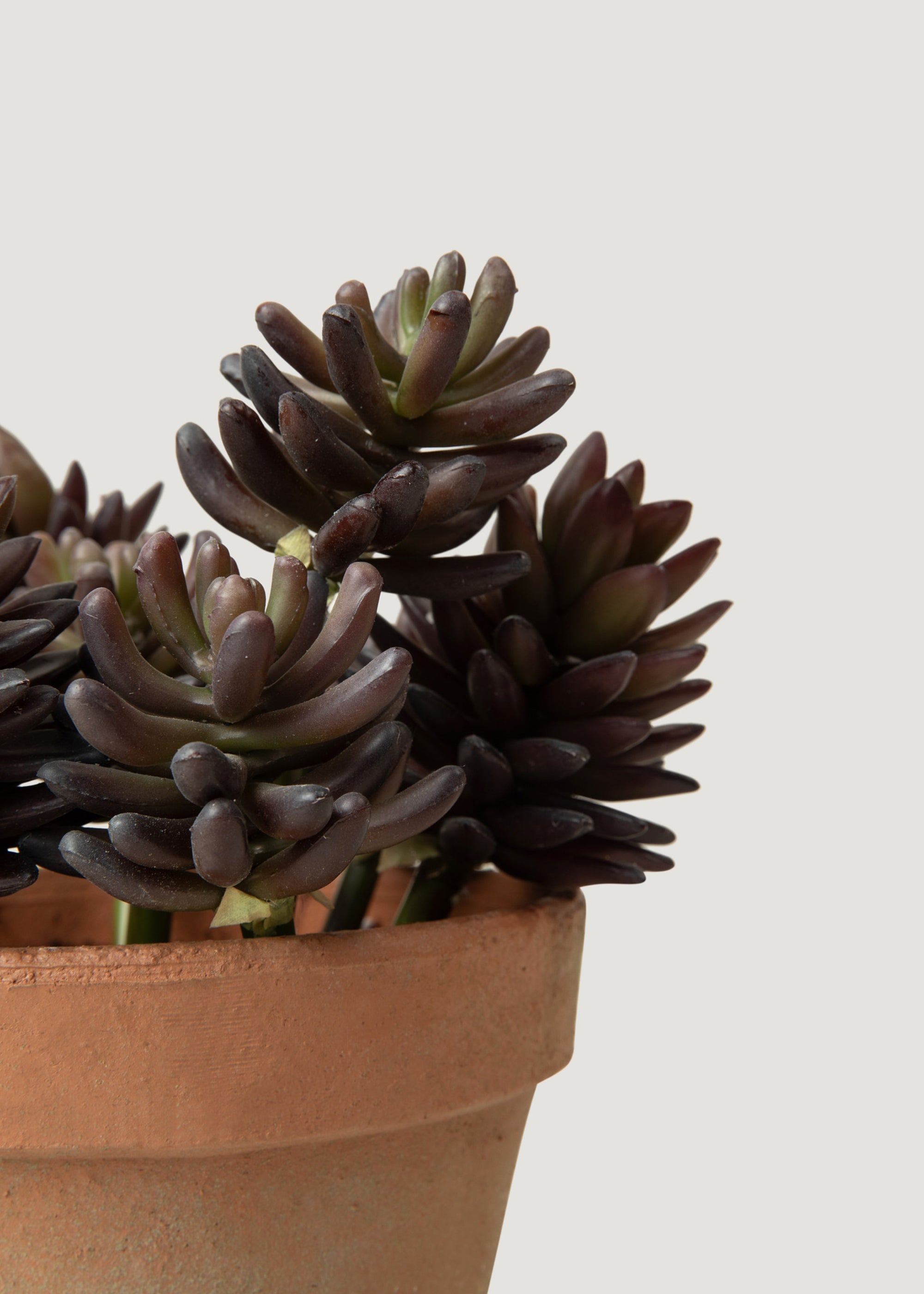 Artificial Potted Succulent Plant - 11"