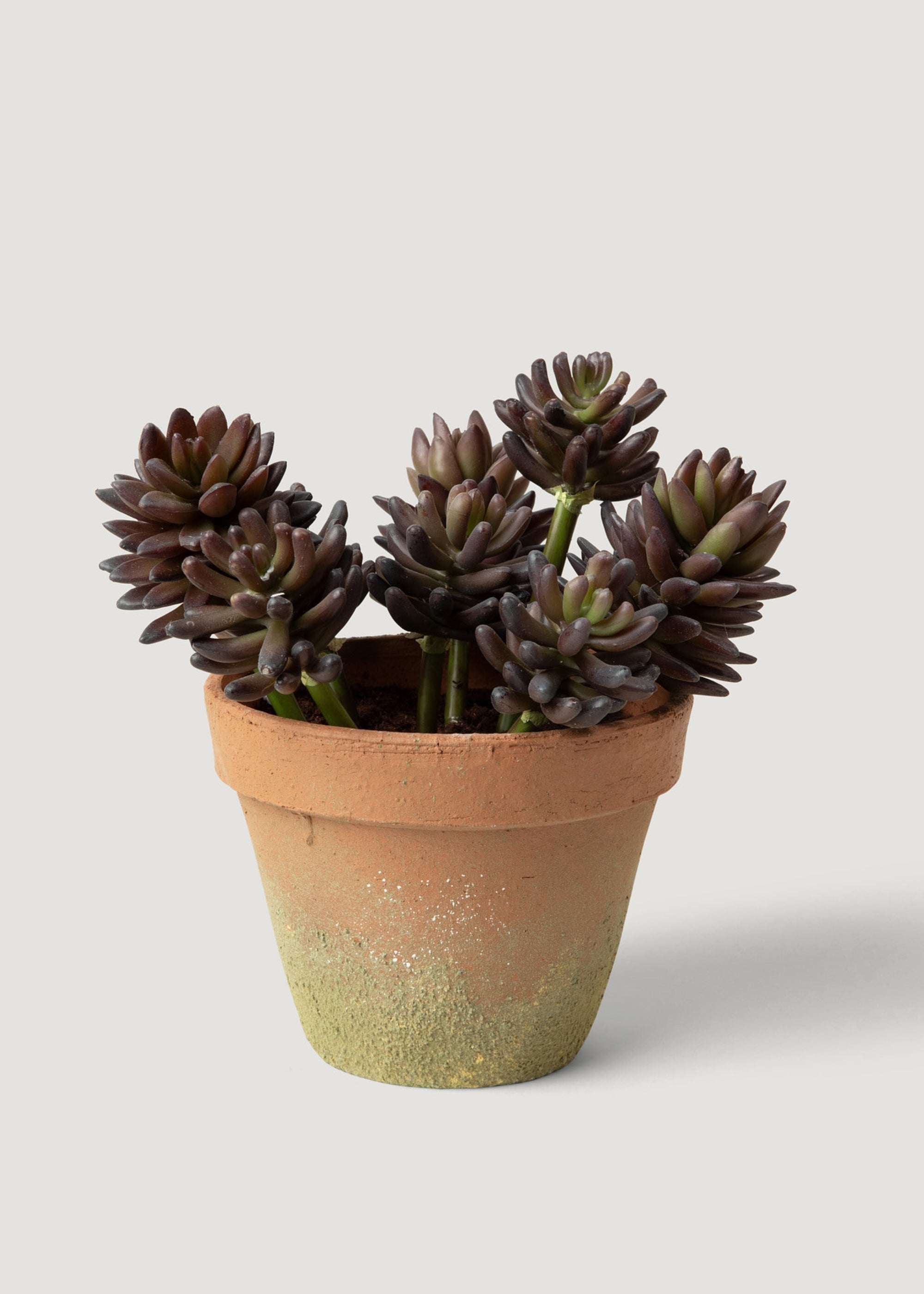 Artificial Potted Succulent Plant - 11"