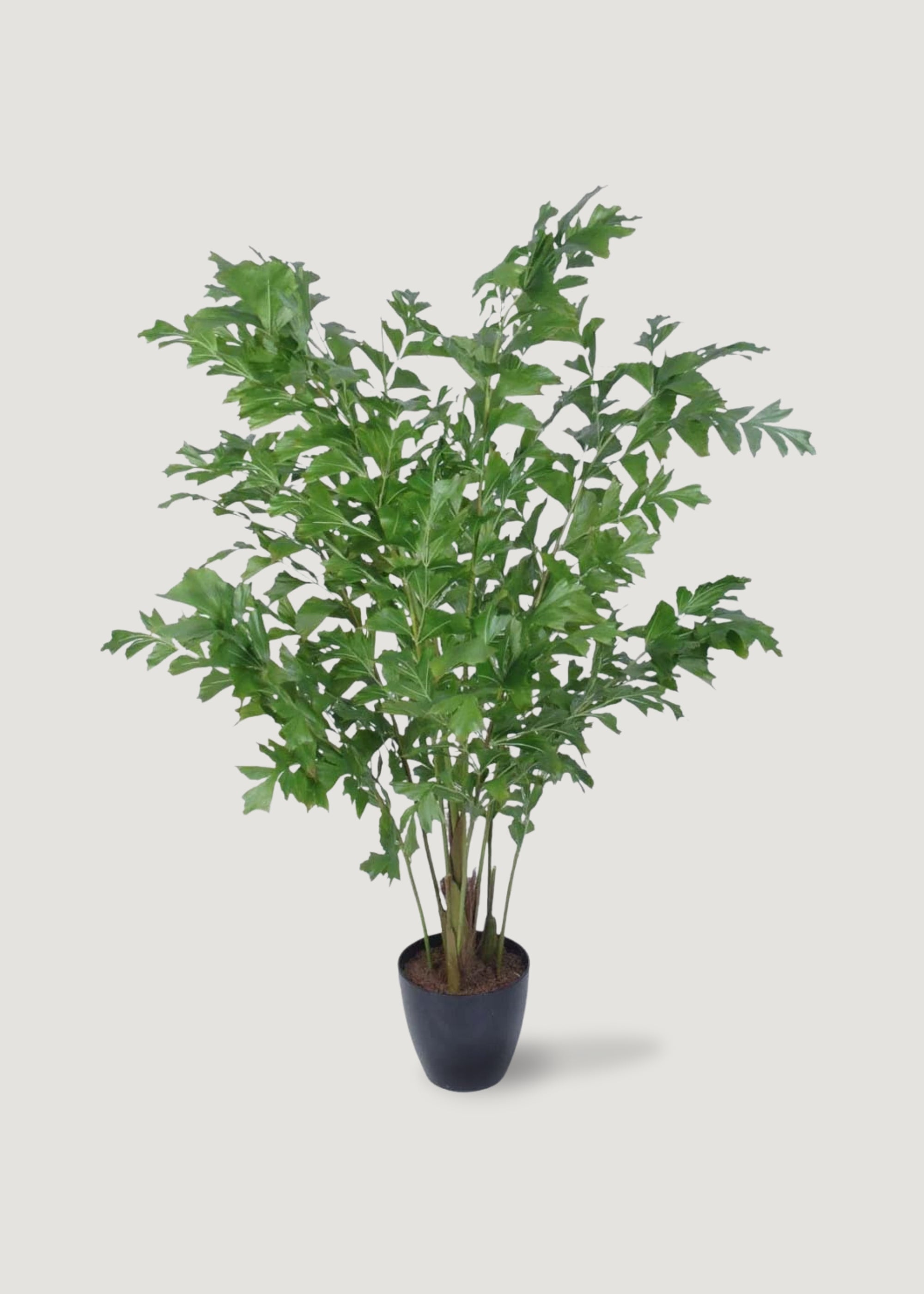 Artificial Potted Fishtail Palm Tree Plant - 63" Tall